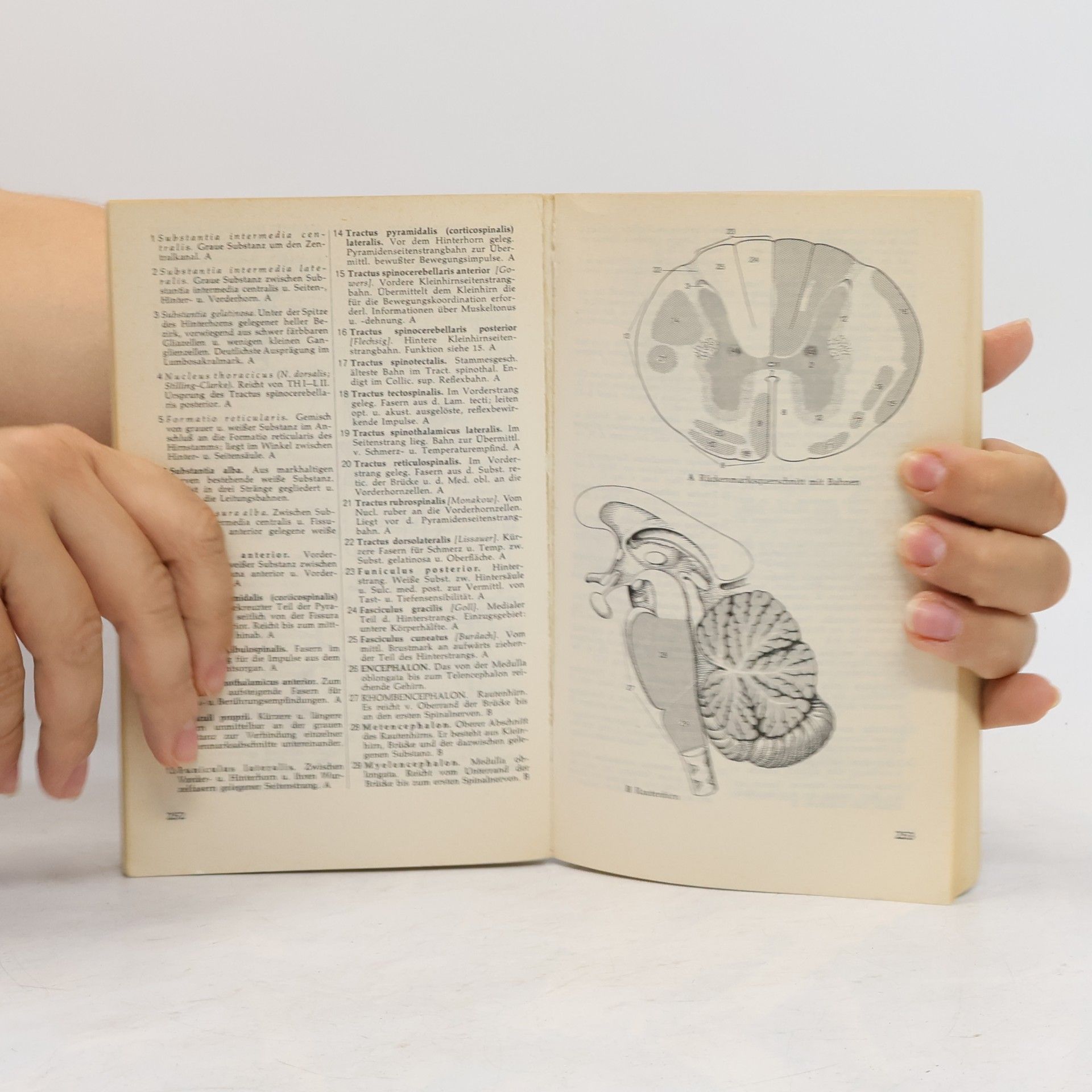 Heinz Feneis Anatomische Bildnomenklatur