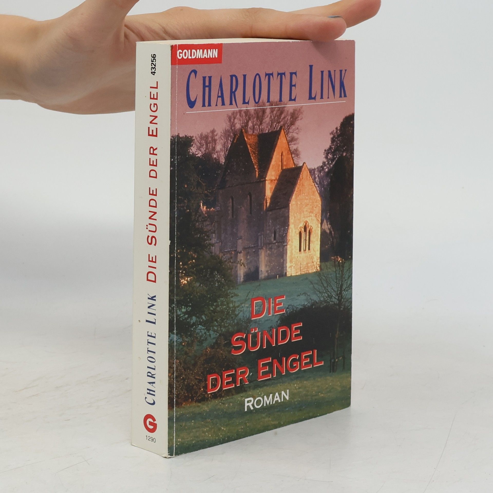 Charlotte Link Die Sünde der Engel
