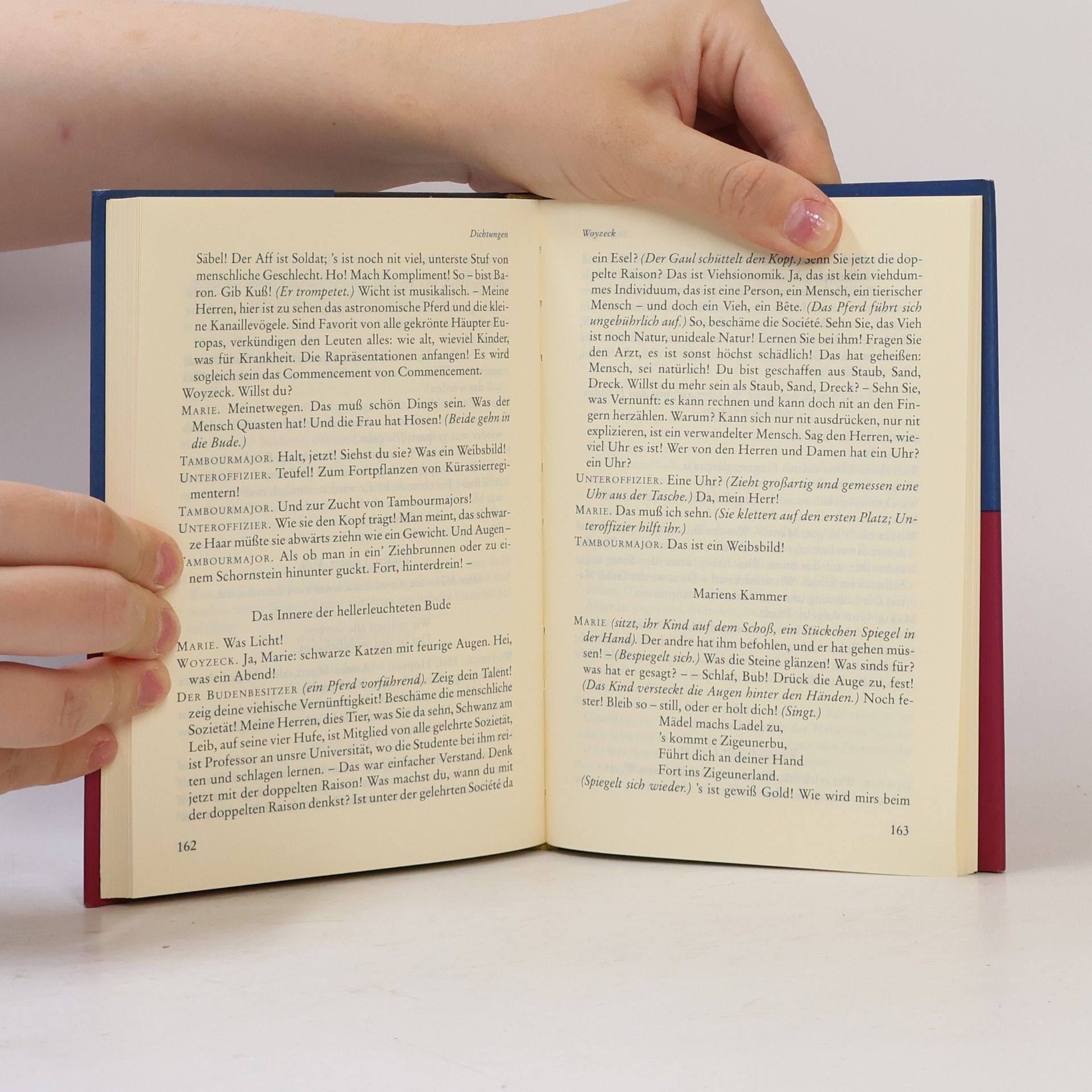 Georg Büchner Dichtungen und Schriften
