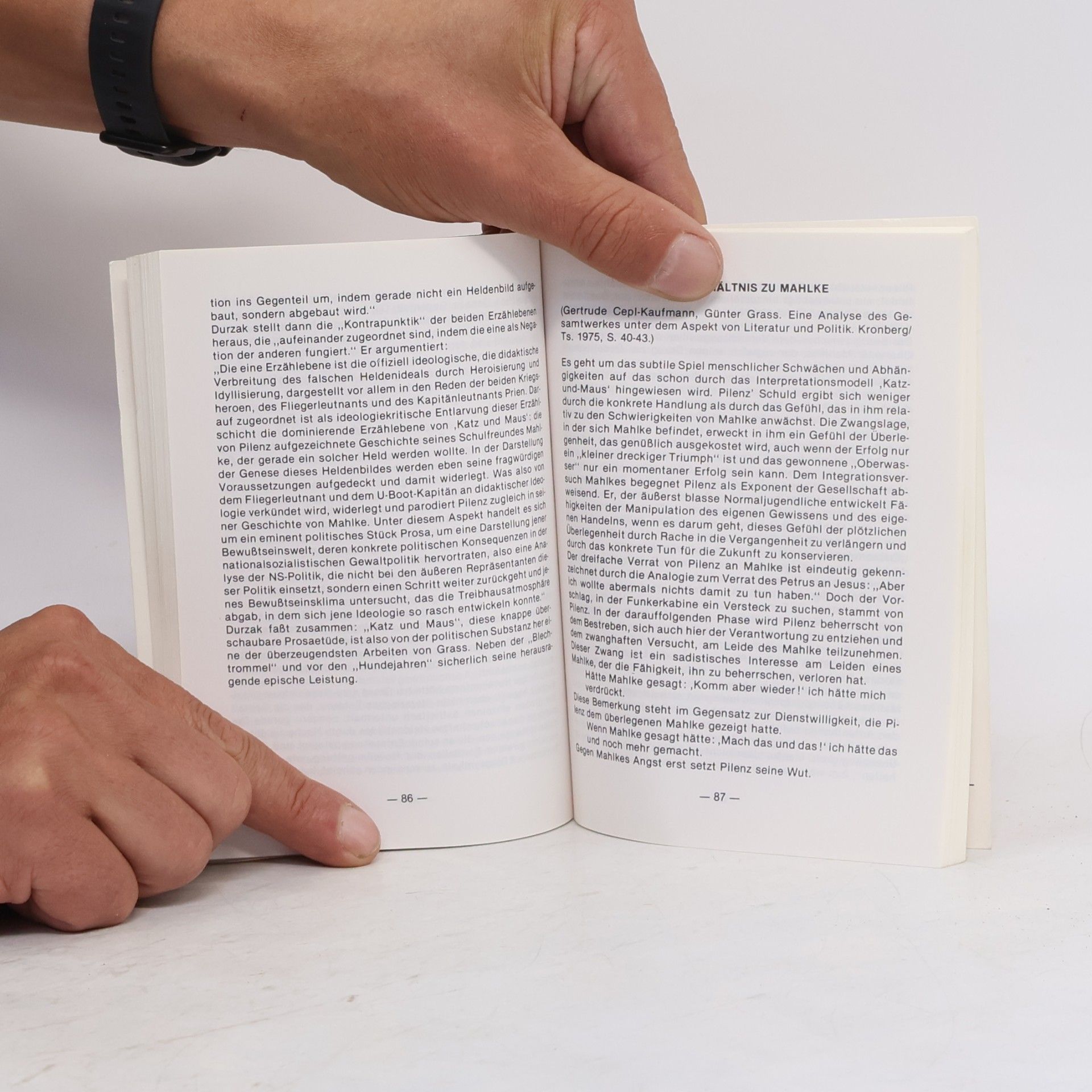 Edgar Neis Erläuterungen zu Günter Grass, Katz und Maus