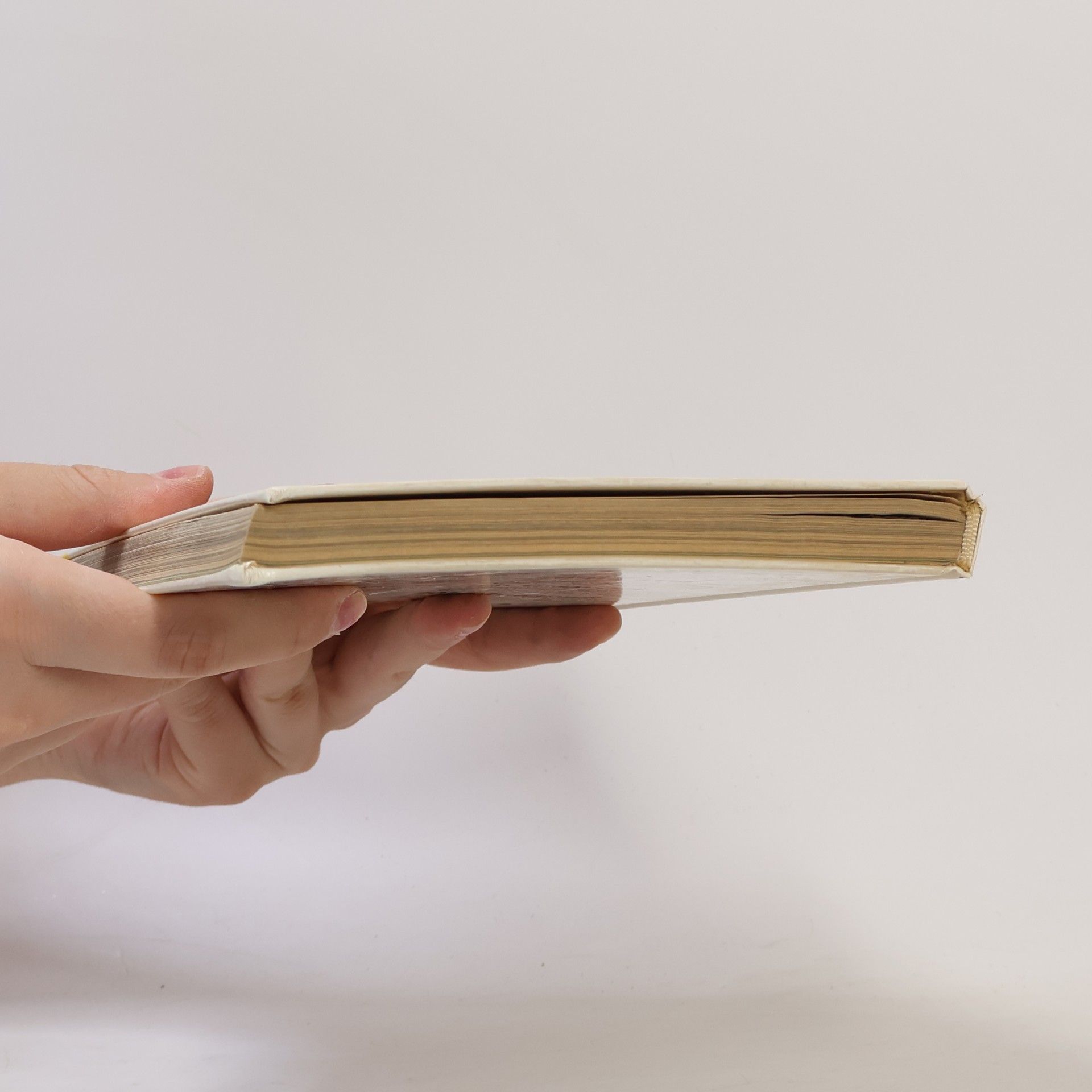 Gisa von Barsewisch Das neue Buch der Salate
