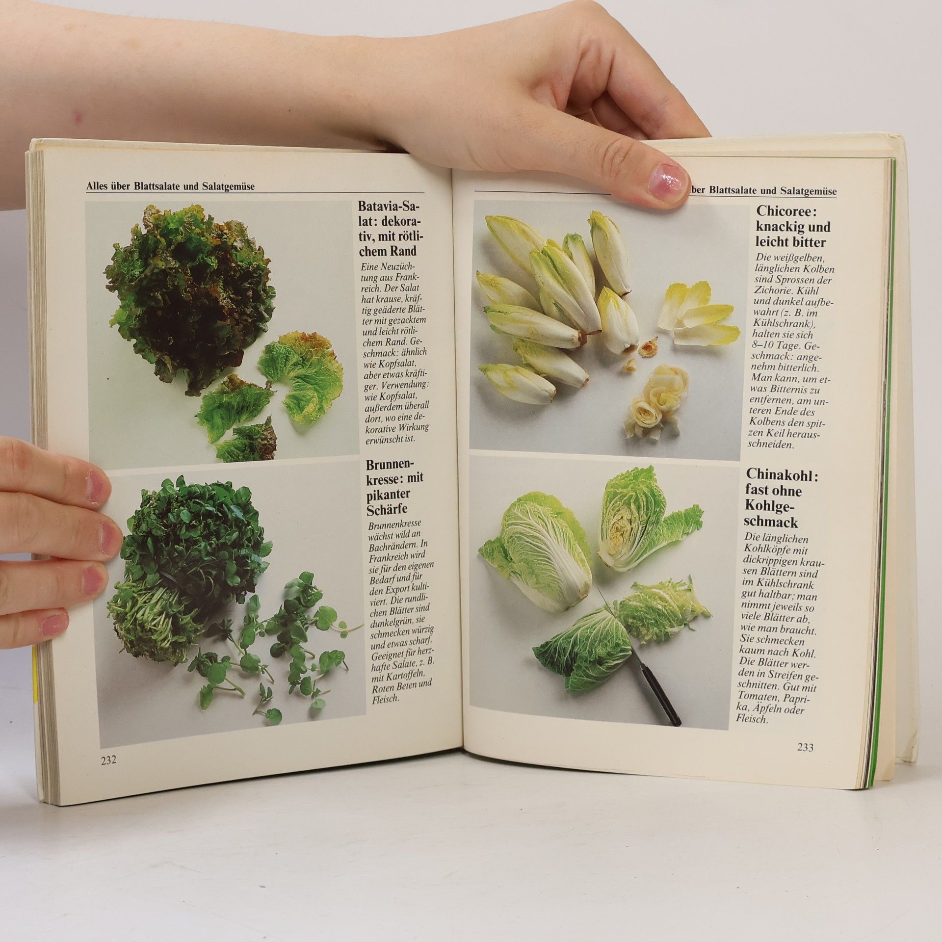 Gisa von Barsewisch Das neue Buch der Salate