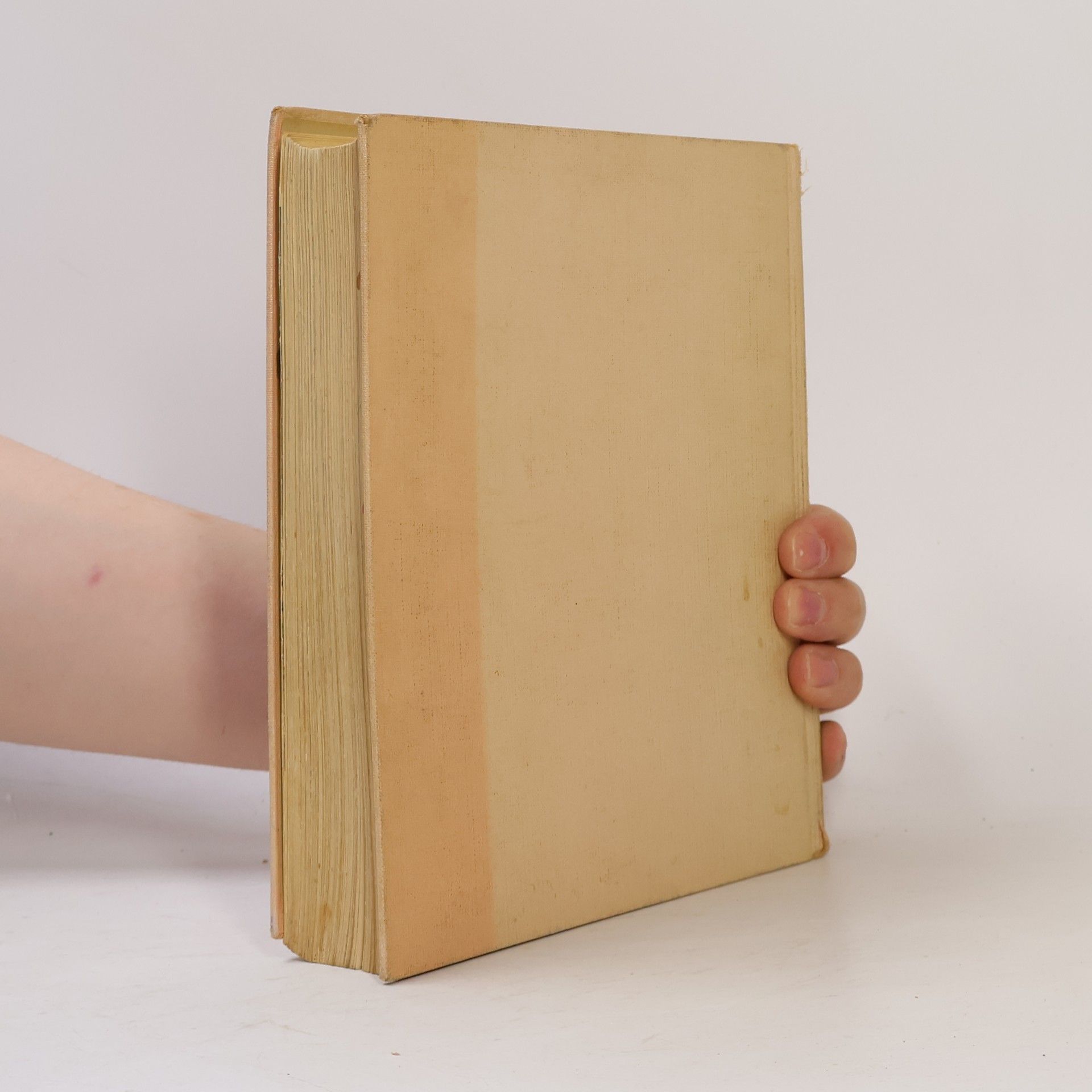 Elizabeth Schuler Mein Kochbuch