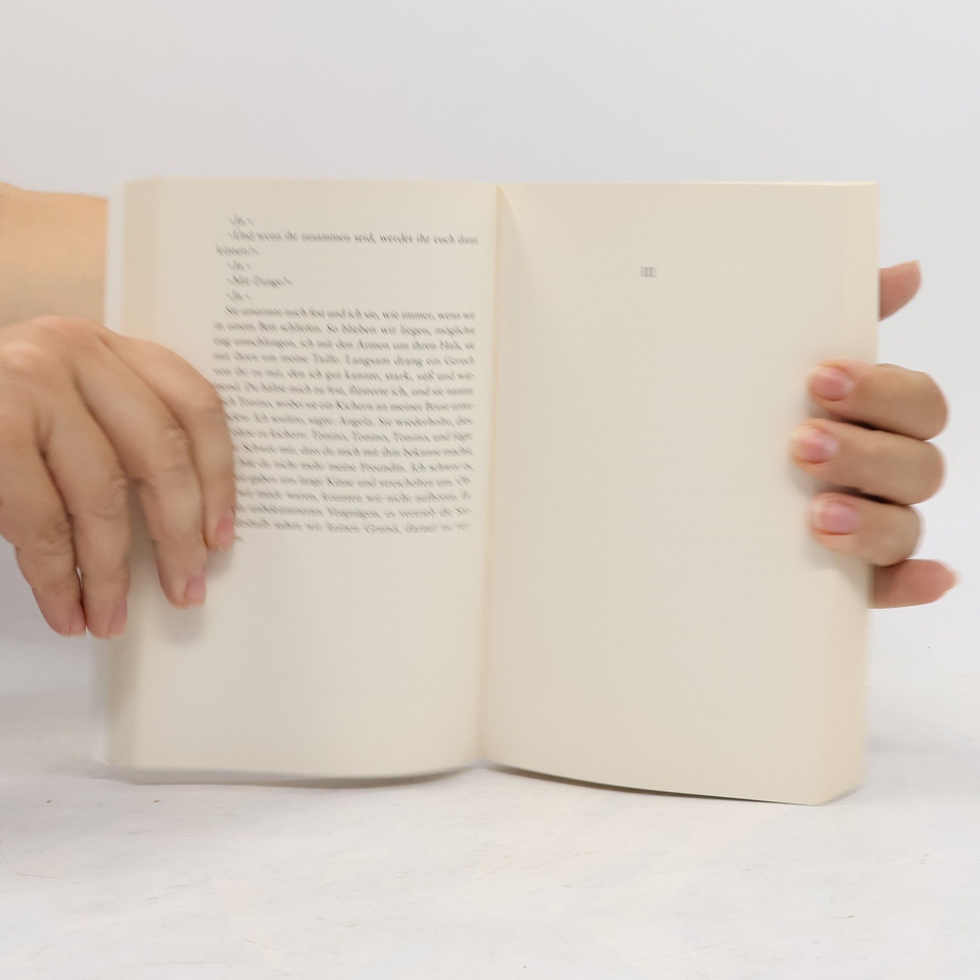 Elena Ferrante Das lügenhafte Leben der Erwachsenen