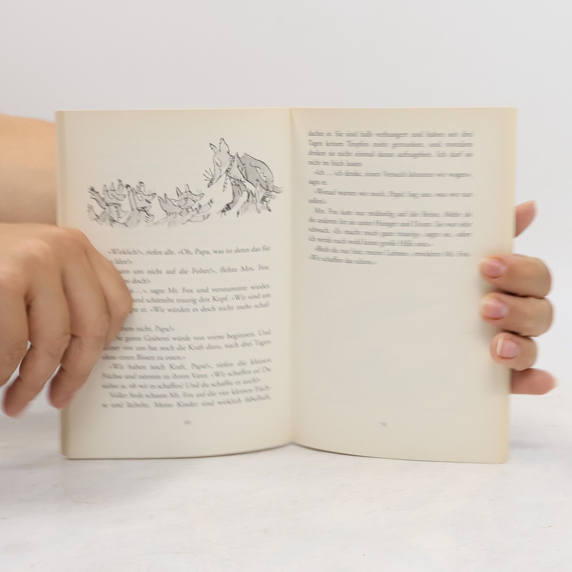 Roald Dahl Der fantastische Mr. Fox