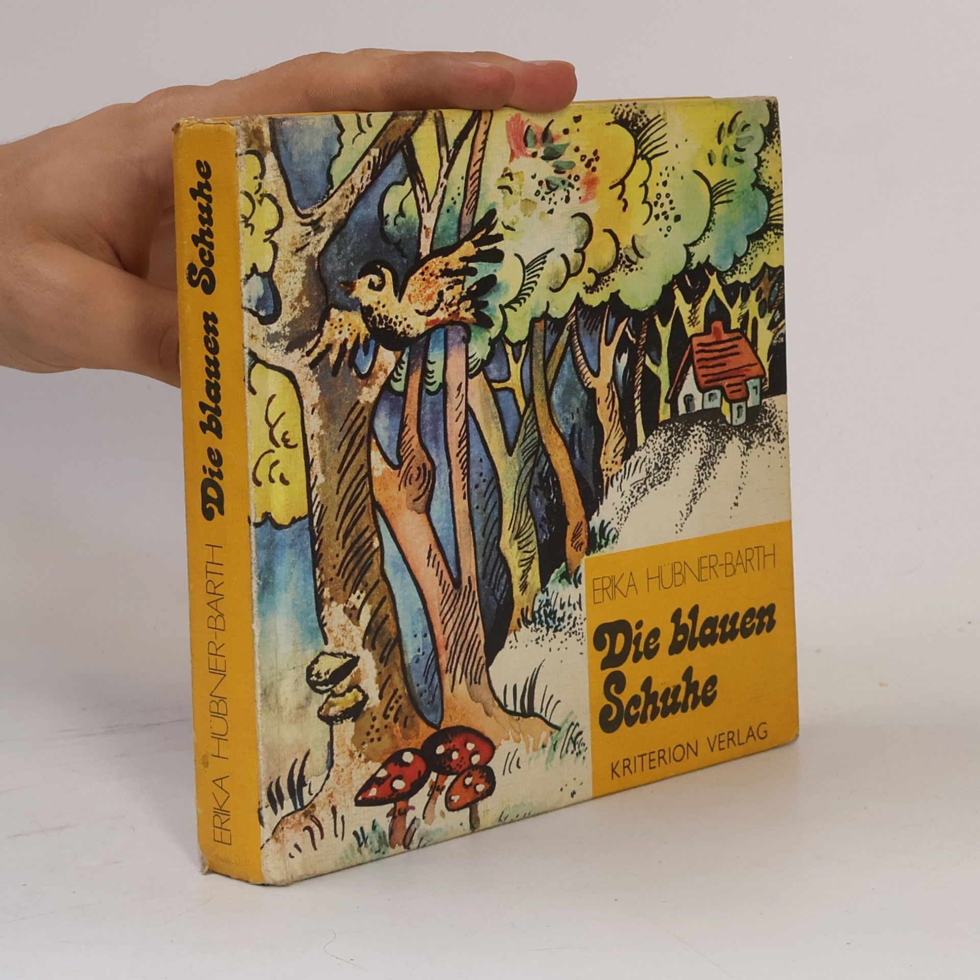 Erika Hübner-Barth Die blauen Schuhe