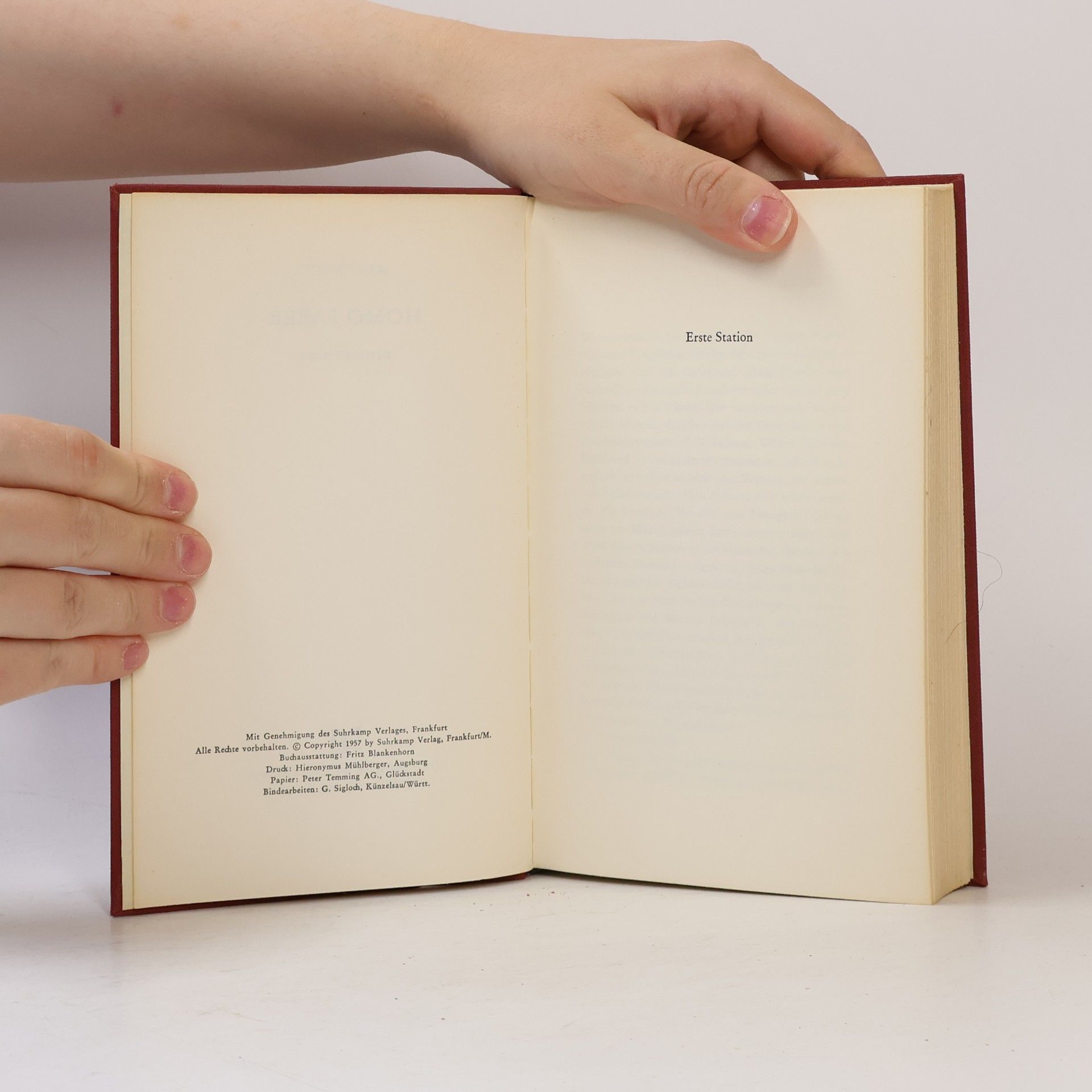 Max Frisch Homo faber
