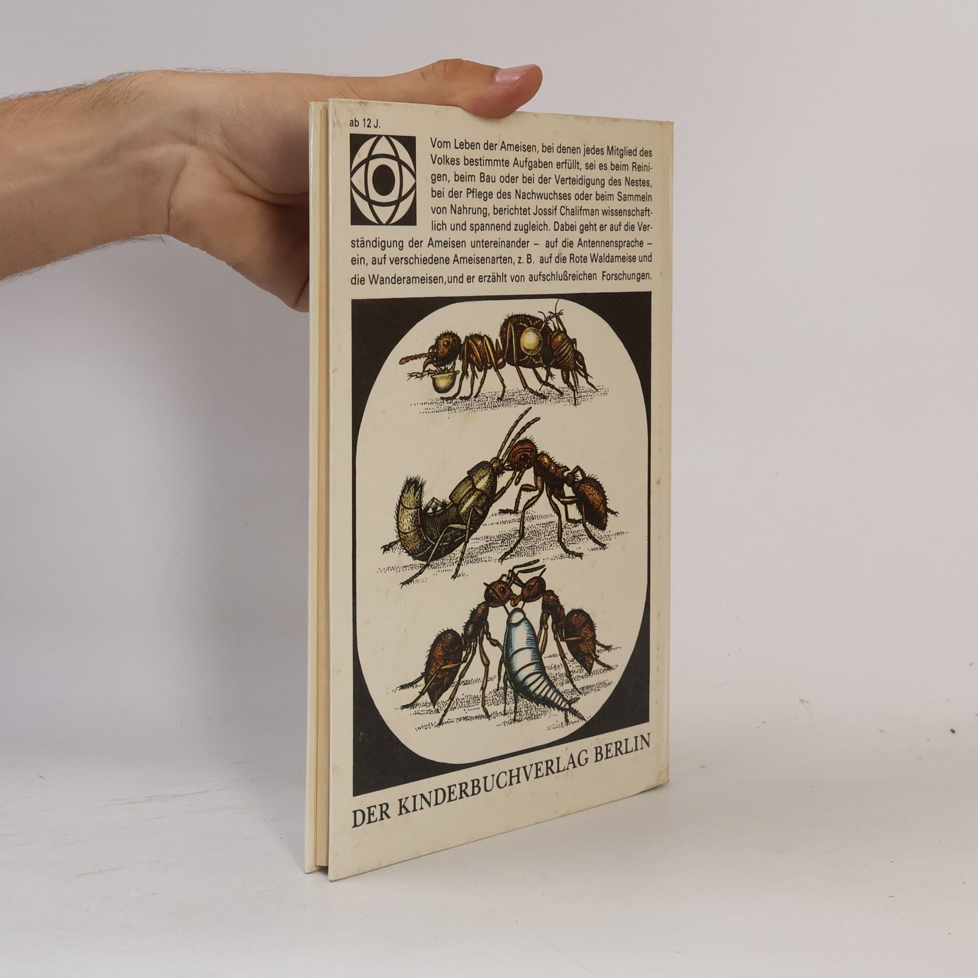Jossif Chalifman Kleines Ameisenbuch