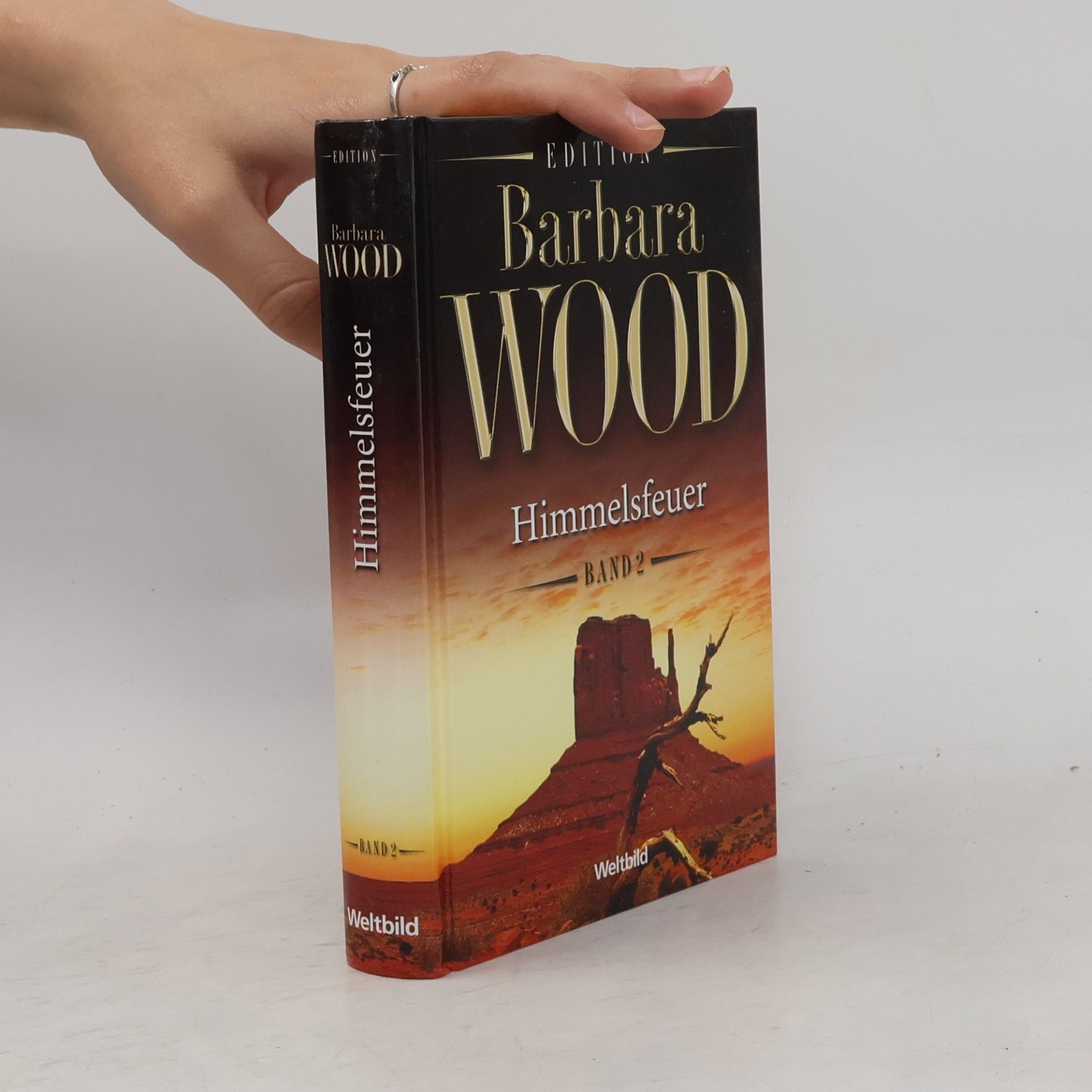 Barbara Wood Himmelsfeuer 2