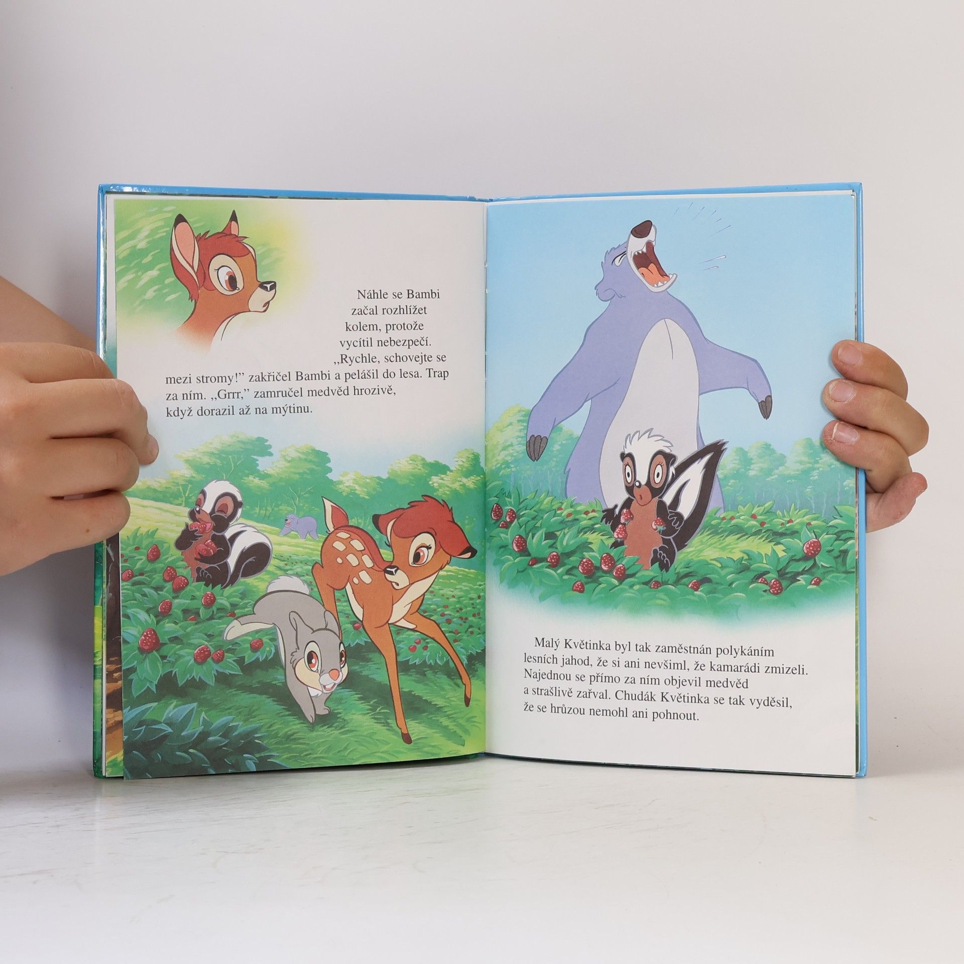 Walt Disney Bambi a nešťastný medvěd