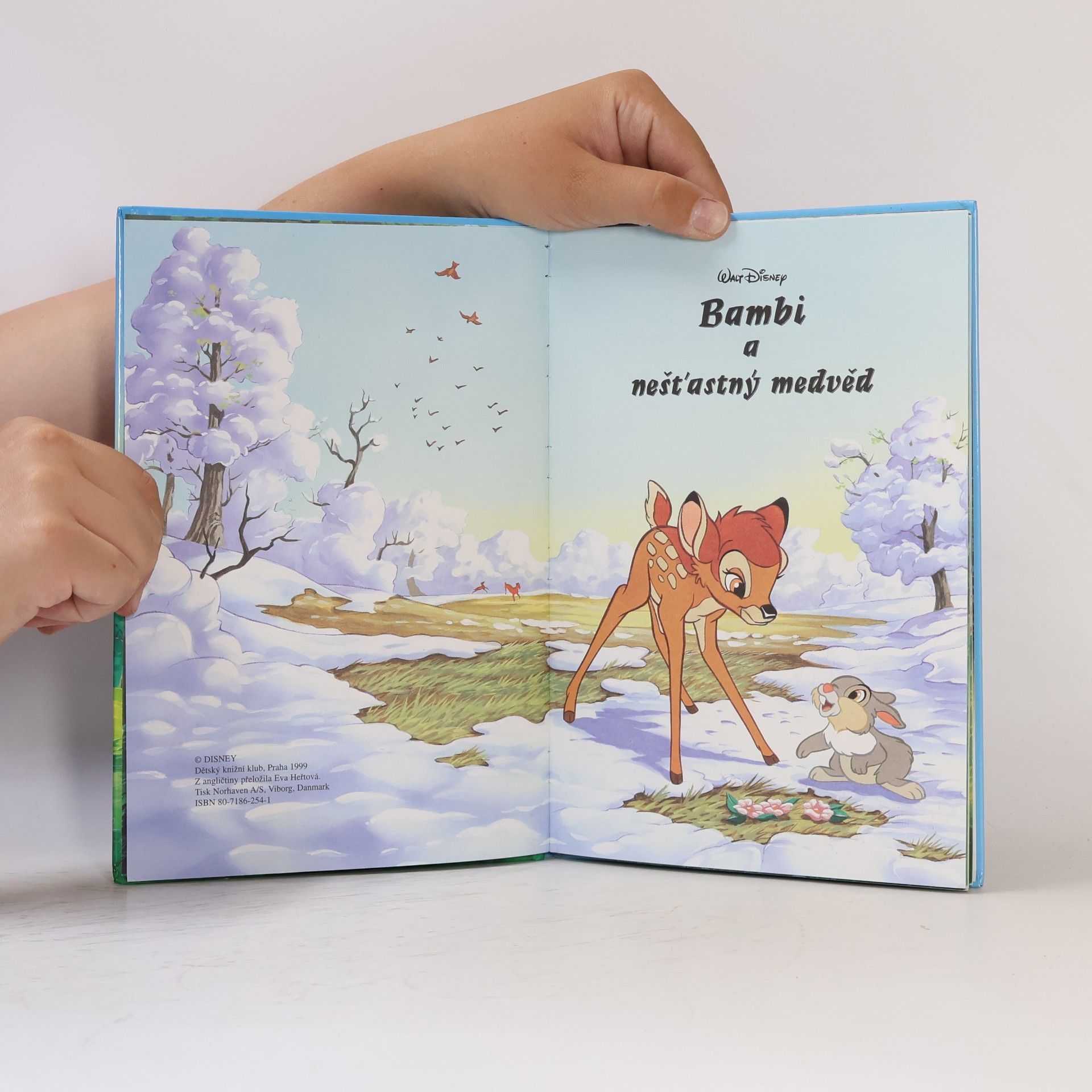 Walt Disney Bambi a nešťastný medvěd