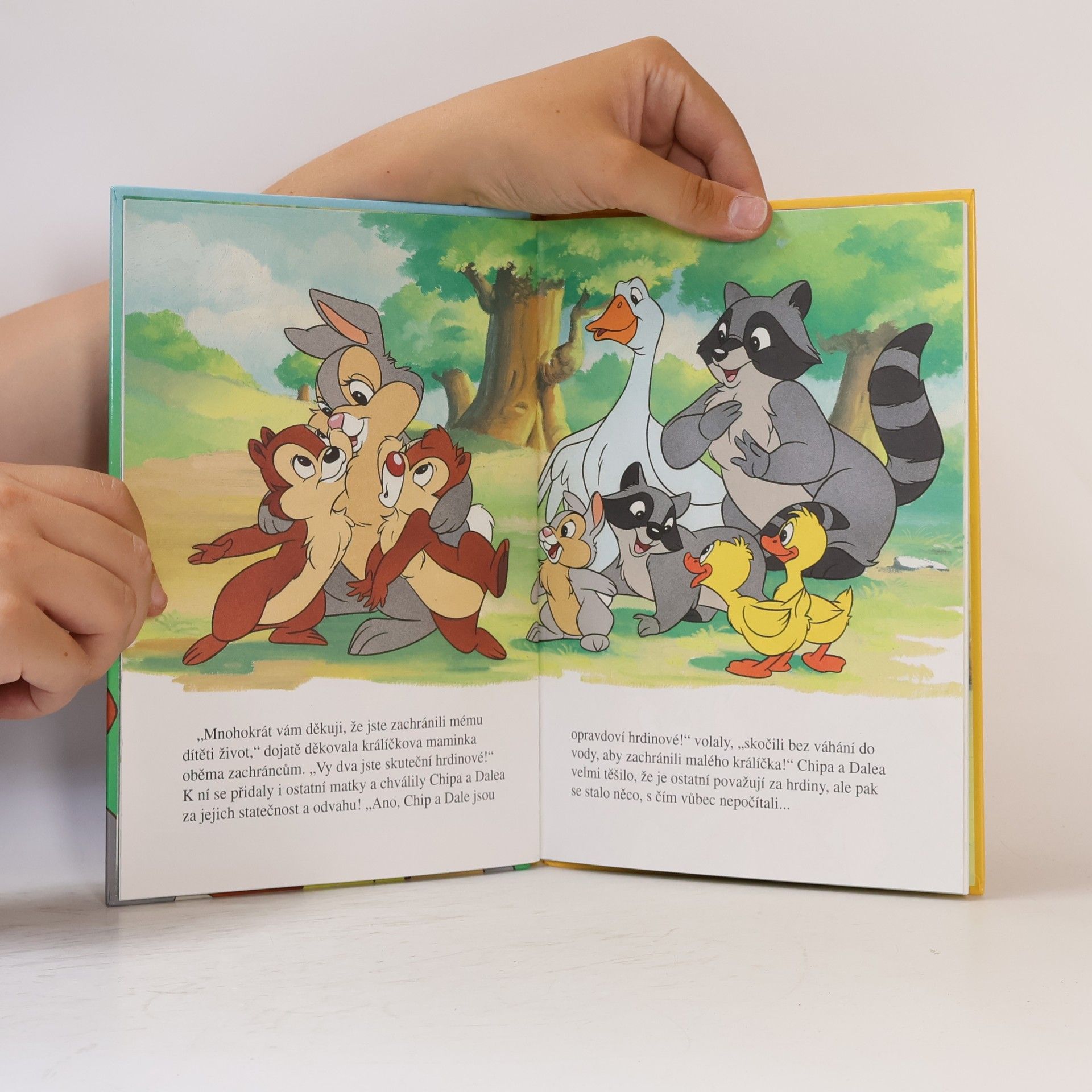 Autorenkollektiv Chip a Dale v mateřské škole