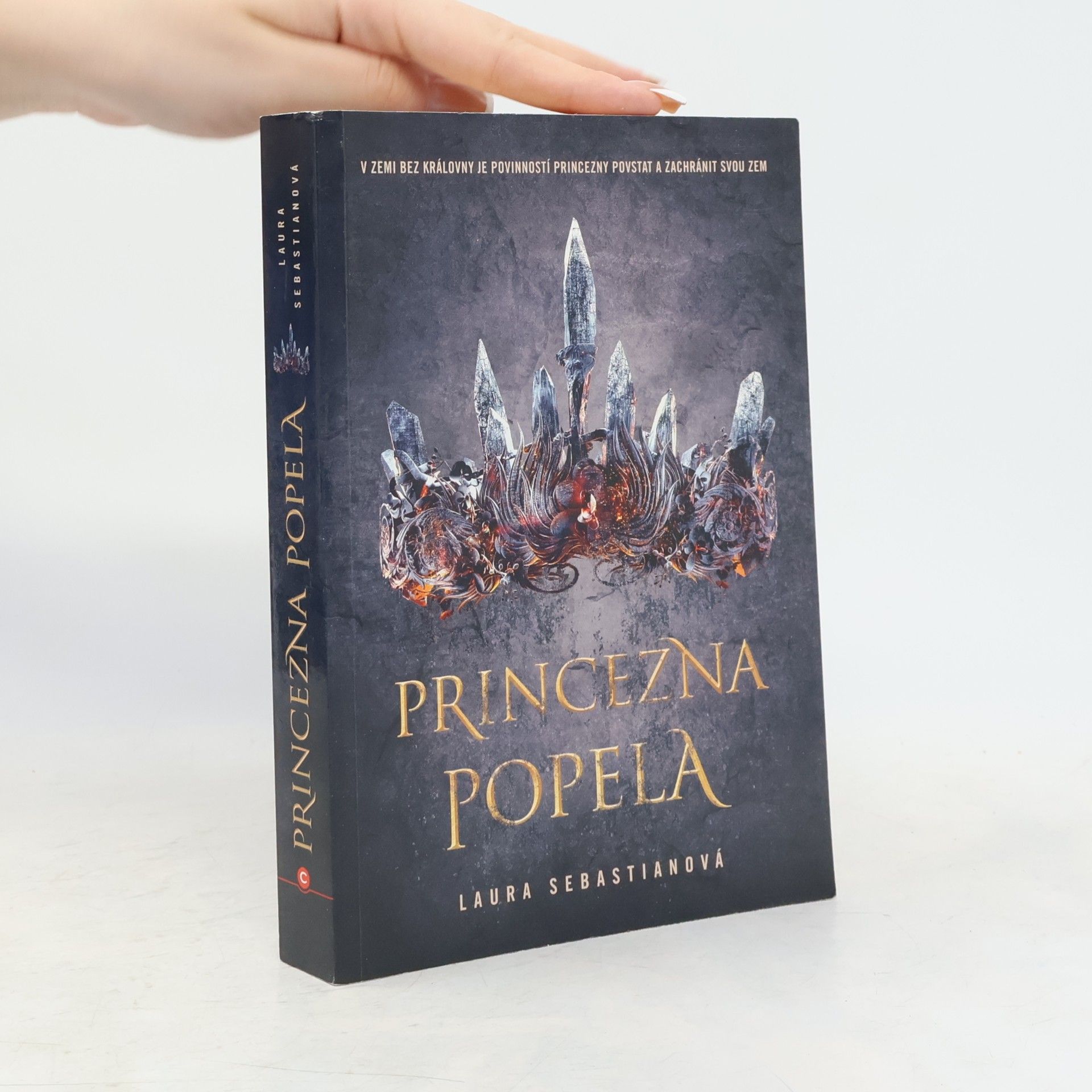 Princezna popela