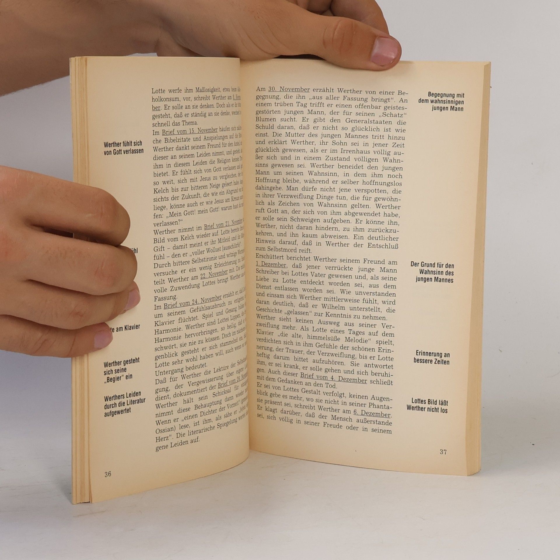 Thomas Siepmann Lektürehilfen Johann Wolfgang von Goethe, "Die Leiden des jungen Werther"