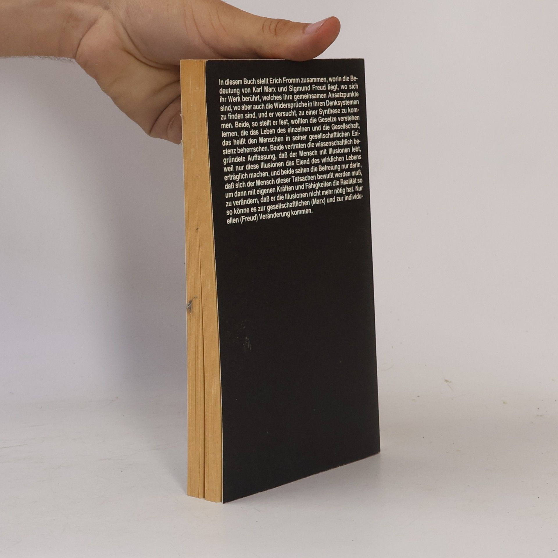 Erich Fromm Jenseits der Illusionen