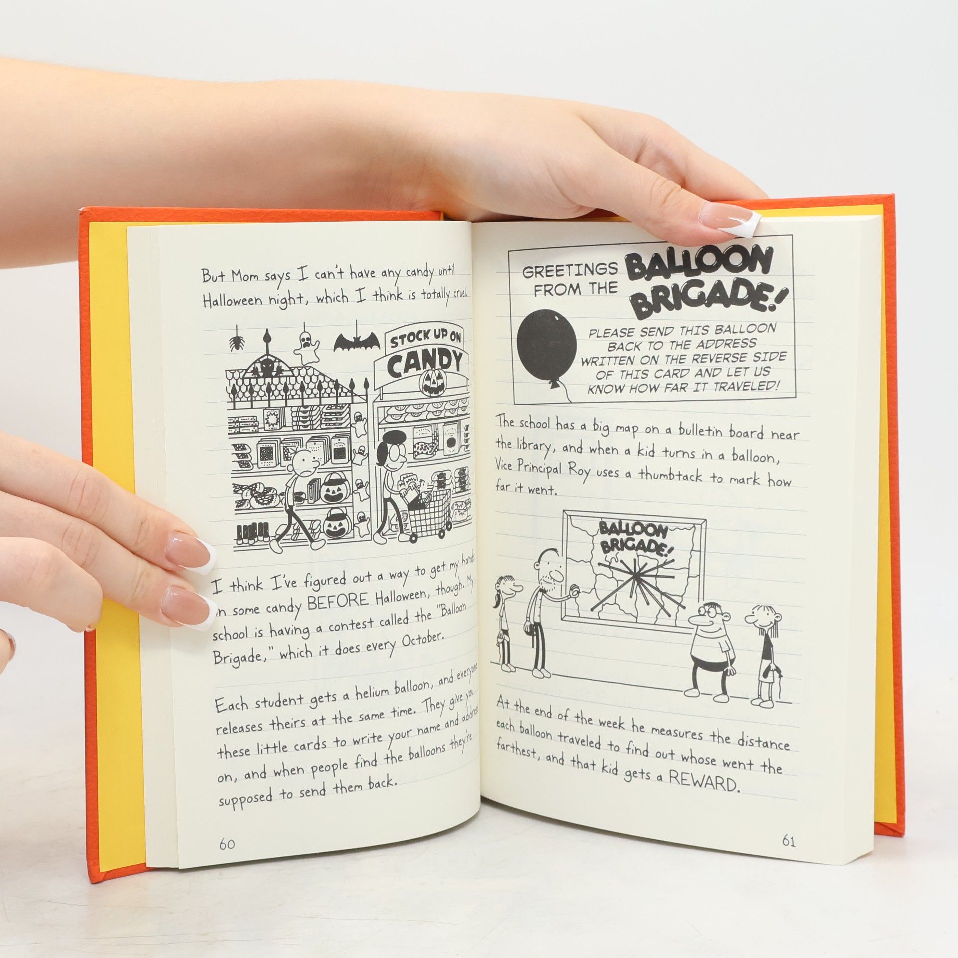 Jeff Kinney Diary of a Wimpy Kid. Double Down