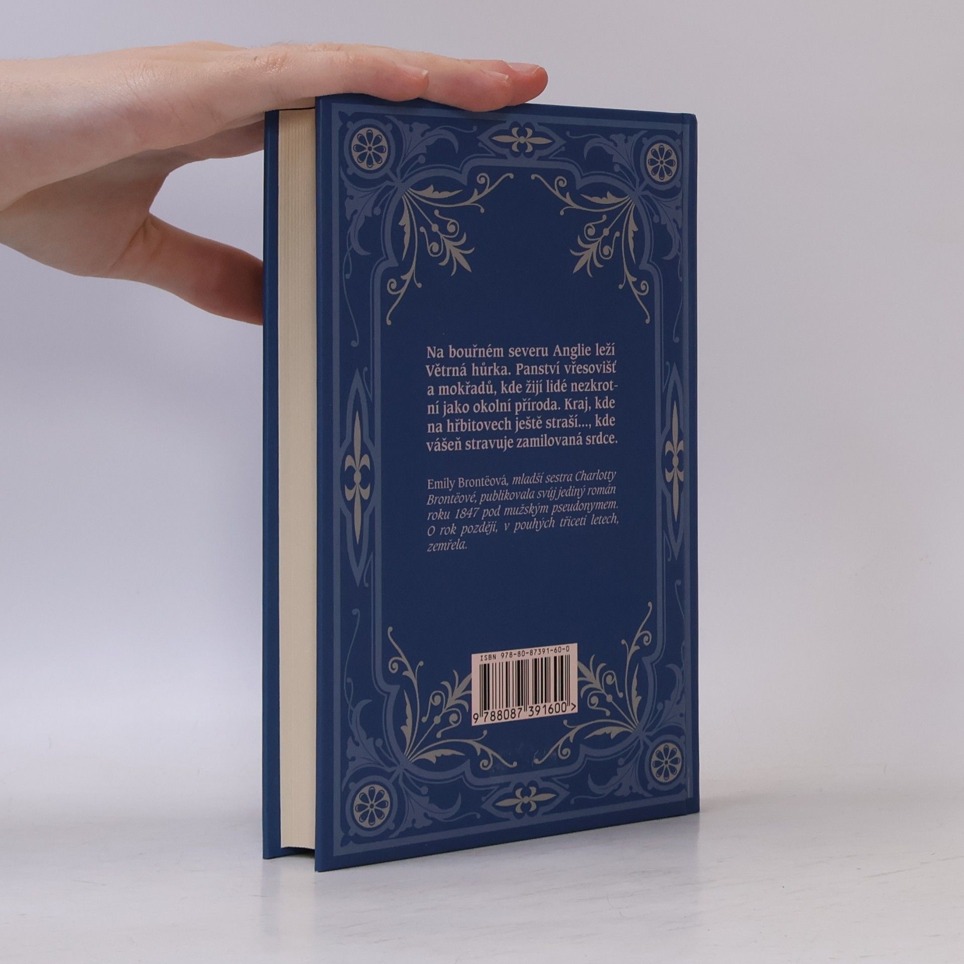 Emily Brontë Na větrné hůrce