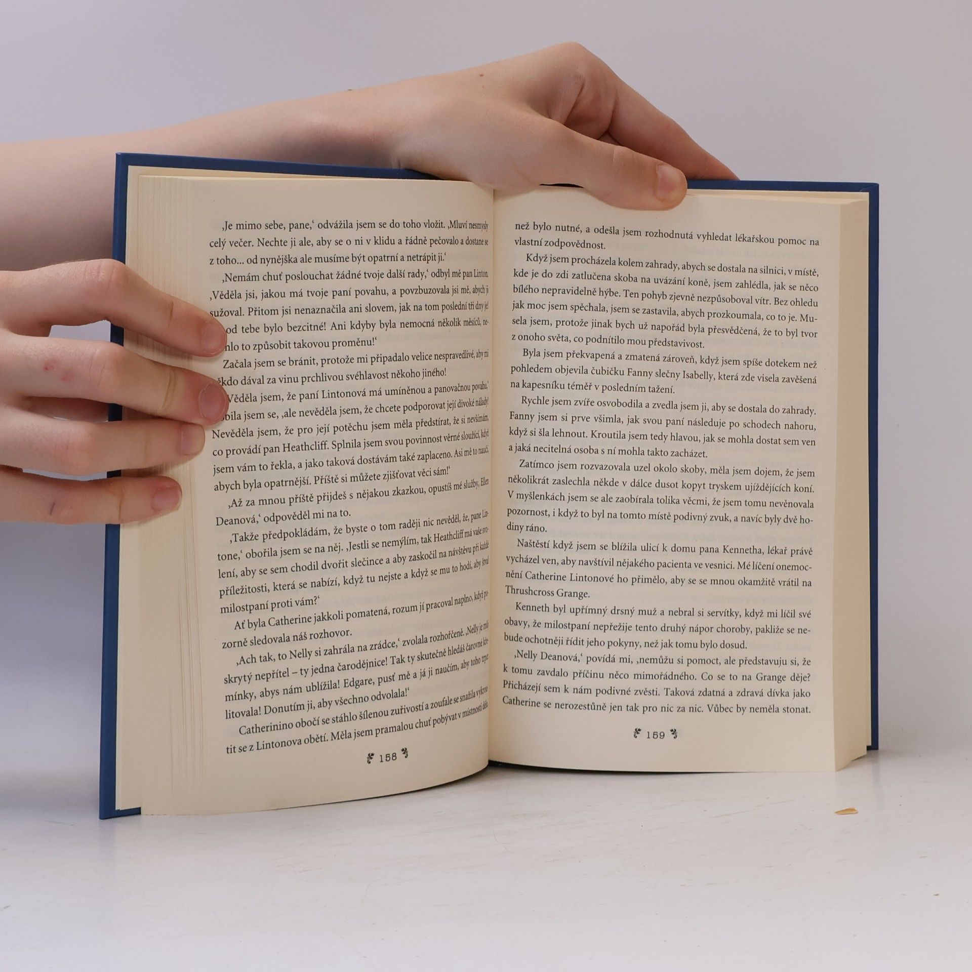 Emily Brontë Na větrné hůrce