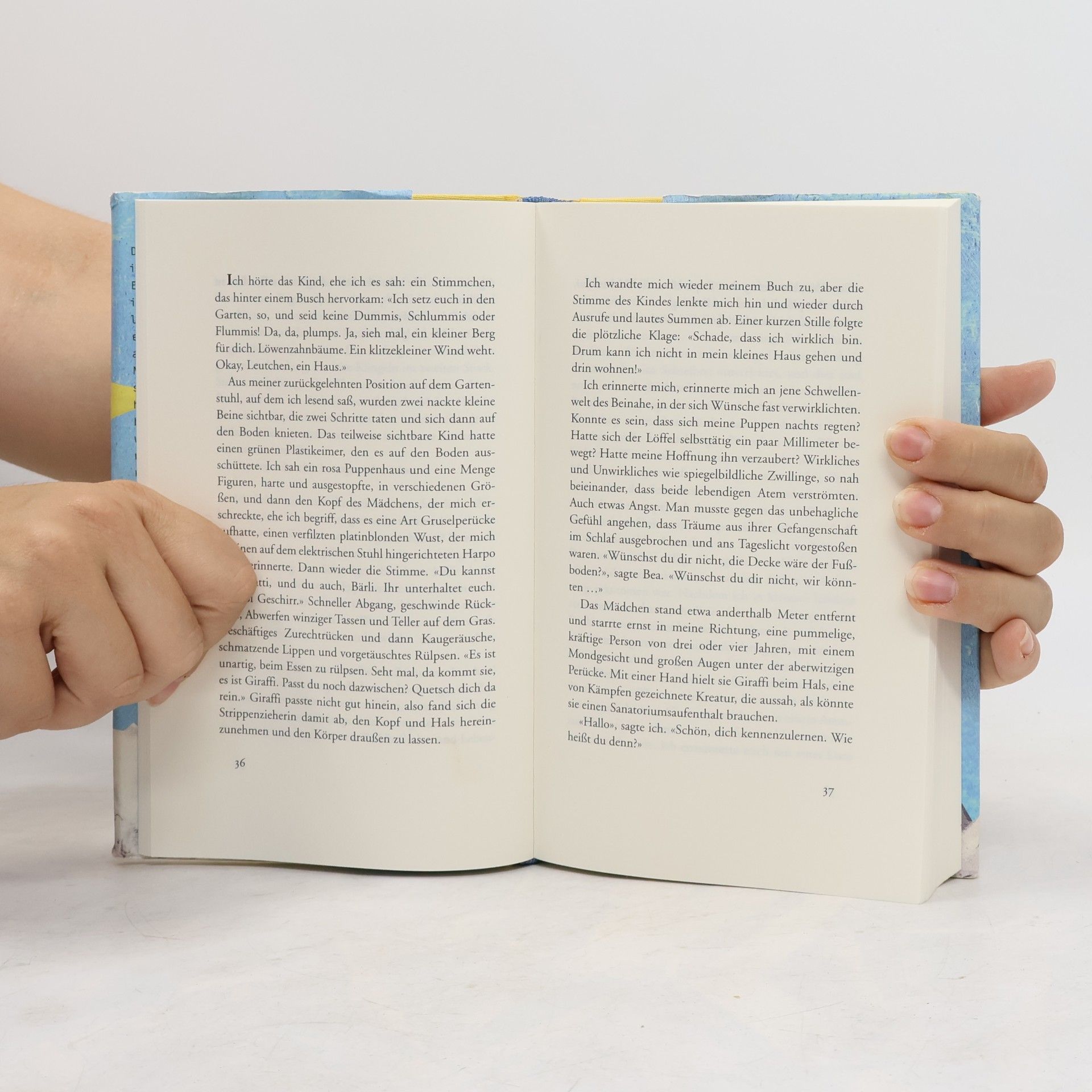 Siri Hustvedt Der Sommer ohne Männer