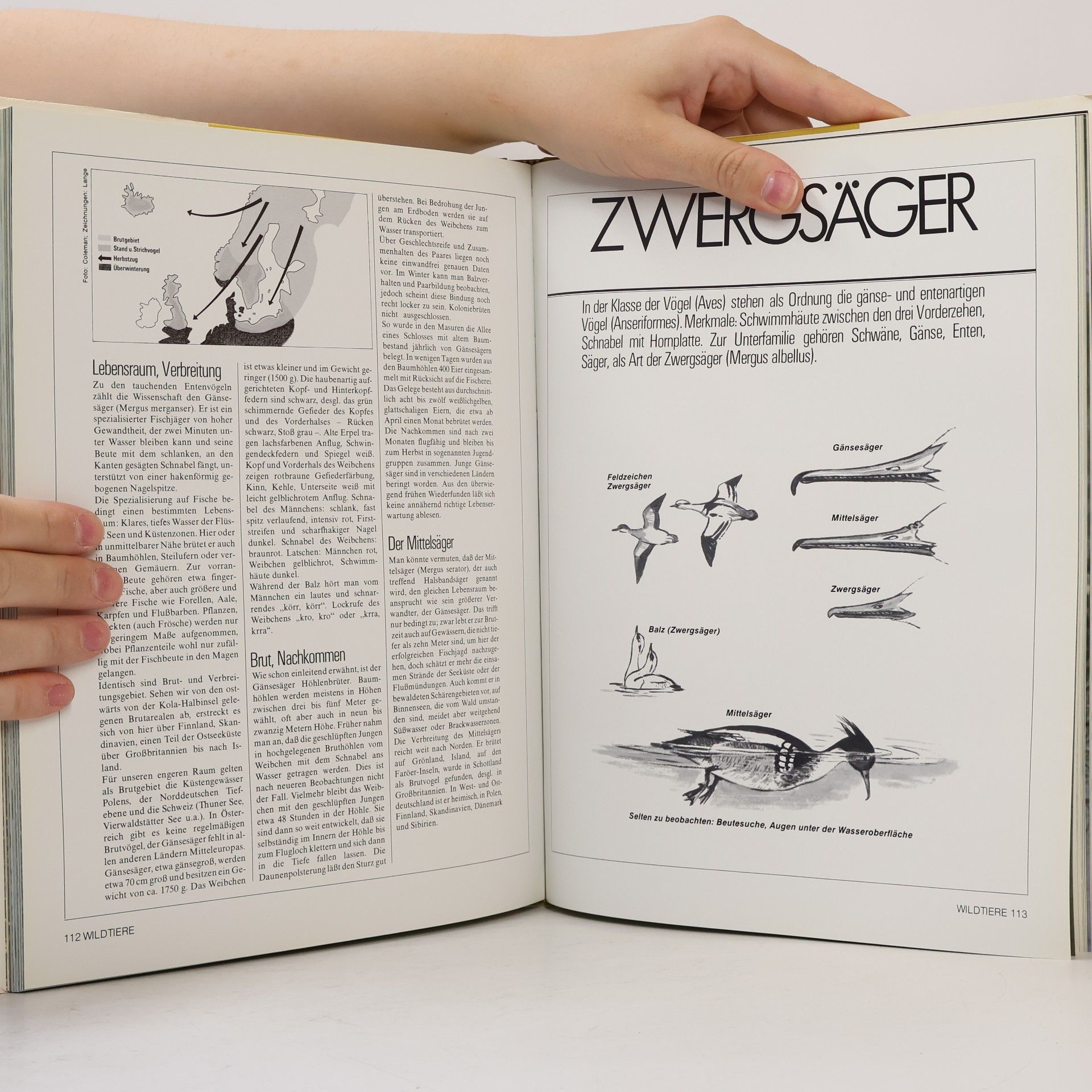 Ulrich Dunkel Wildtiere 2: Wasservögel