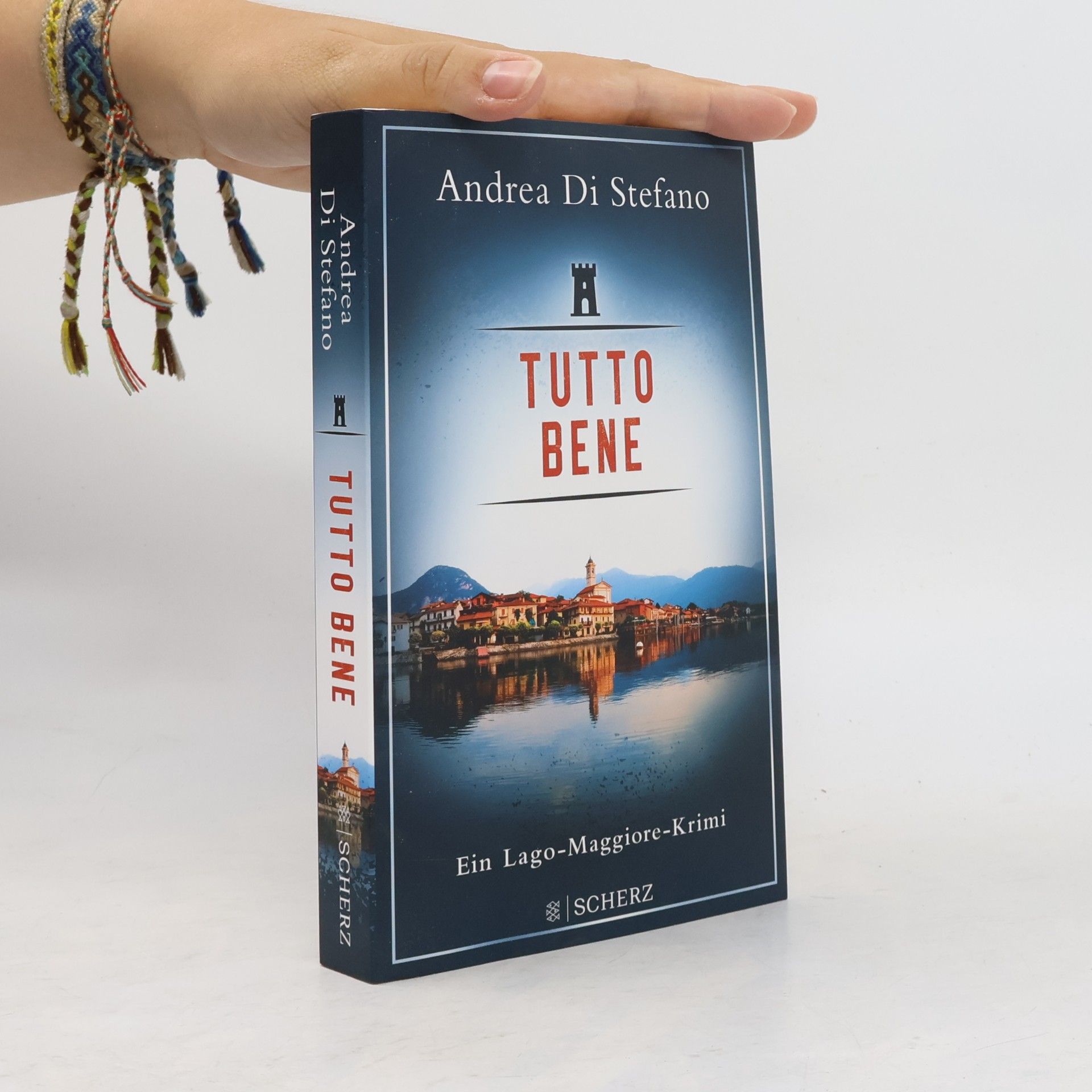 Andrea Di Stefano Tutto Bene - Ein Lago-Maggiore-Krimi
