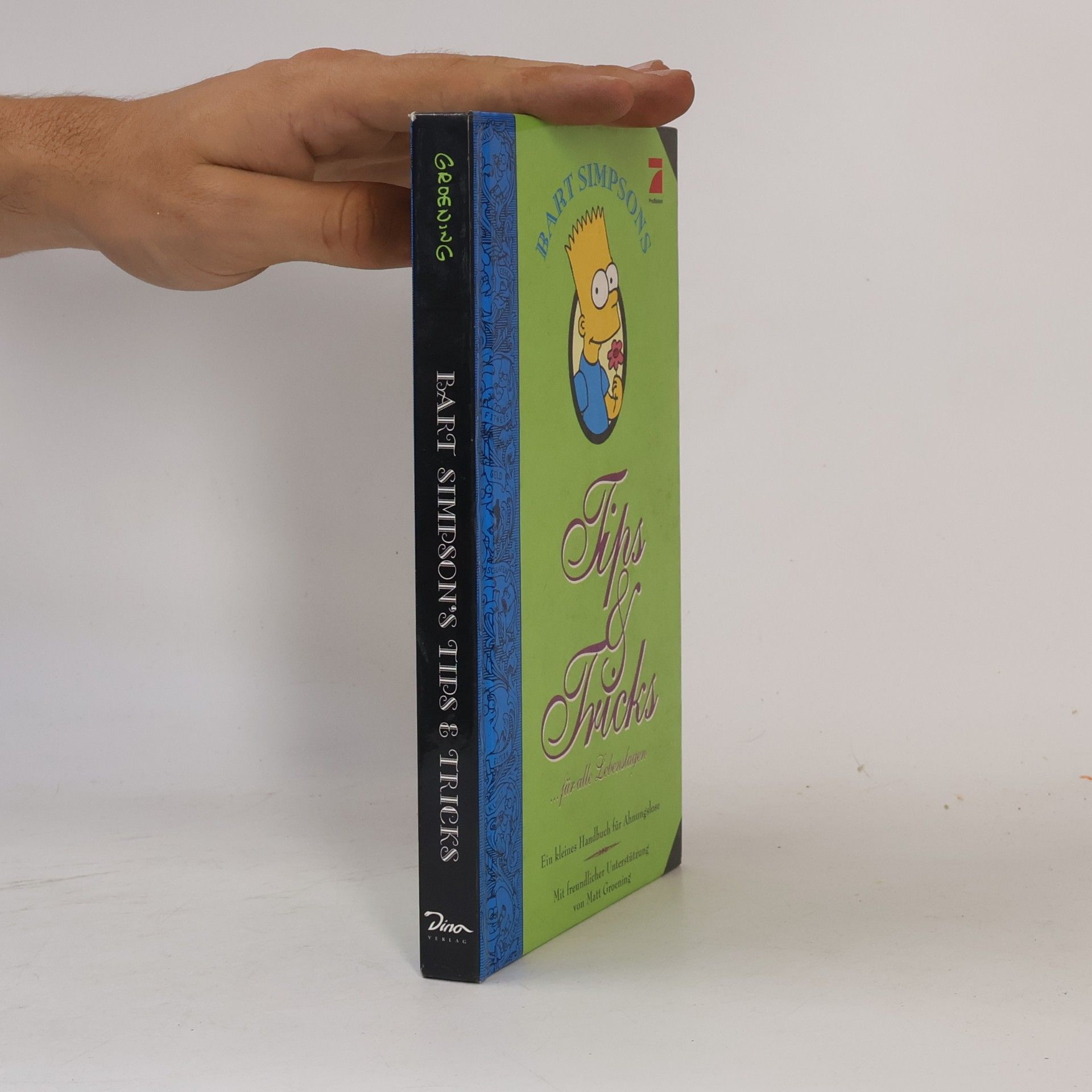 Matt Groening Bart Simpsons Tips & Tricks ... für alle Lebenslagen