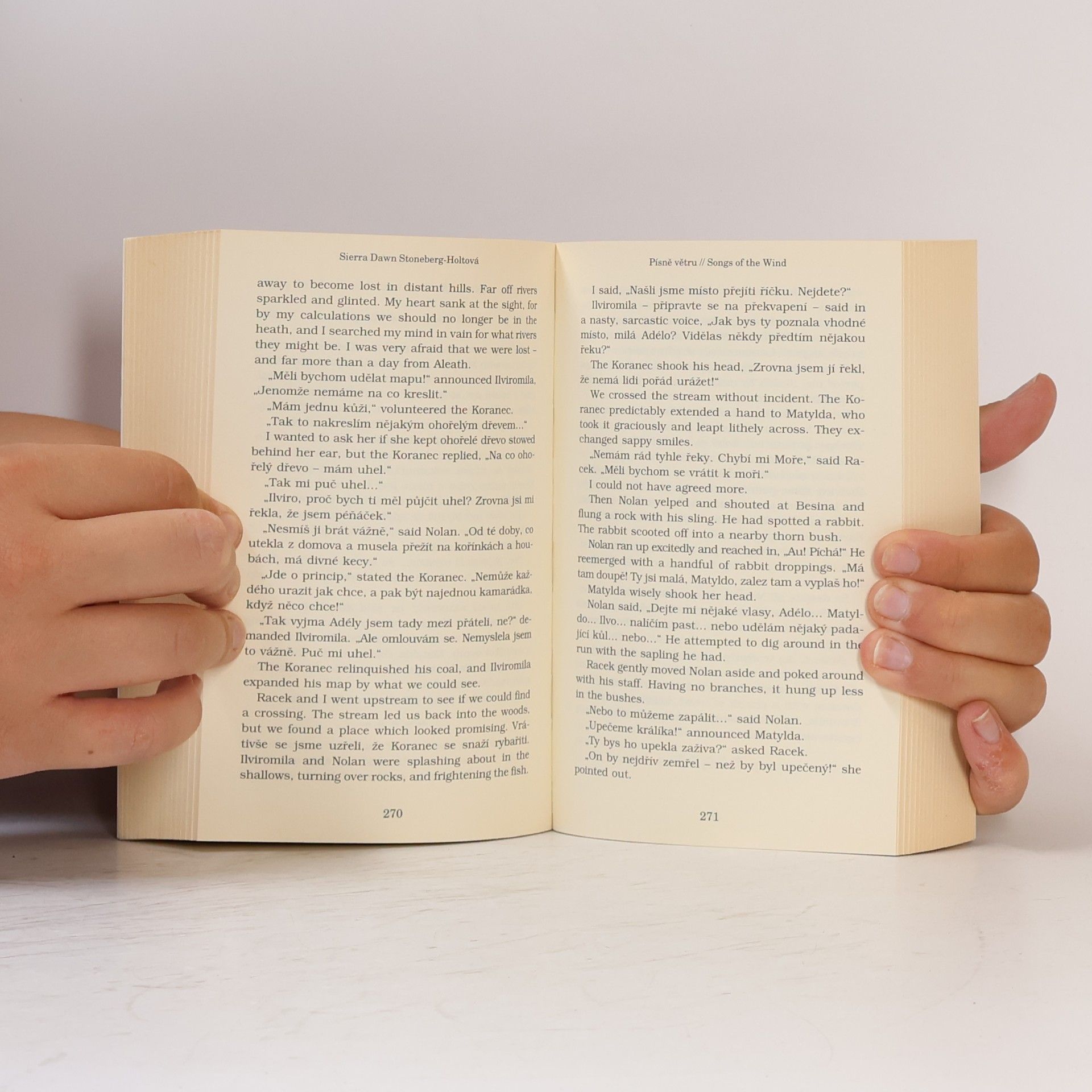 Sierra Dawn Stoneberg Holt Písně větru. The diaries of Lady Aesclinn Aelfraed of Aelfraedinnsford