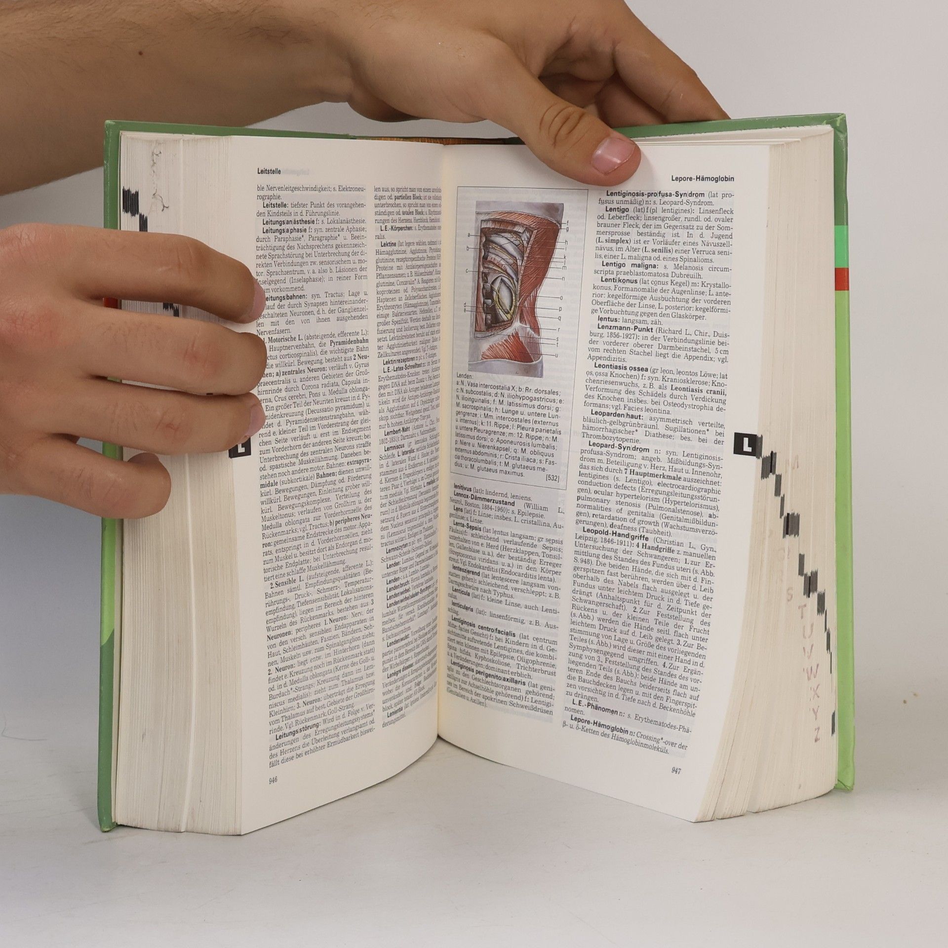 Helmut Hildebrandt Pschyrembel Klinisches Wörterbuch