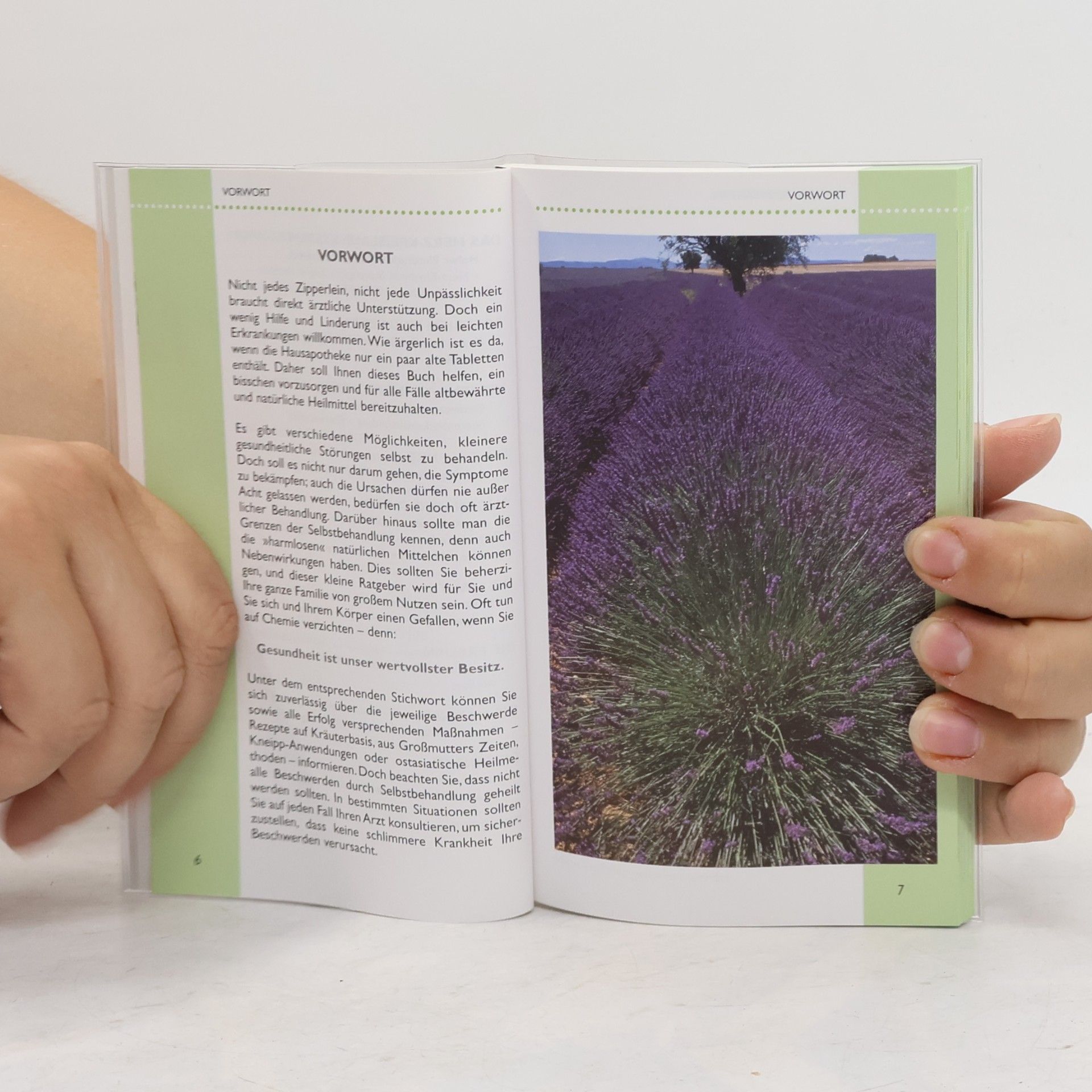 Various authors Die bewährtesten Hausmittel. Vorbeugen und Heilen mit Kräutern der Natur
