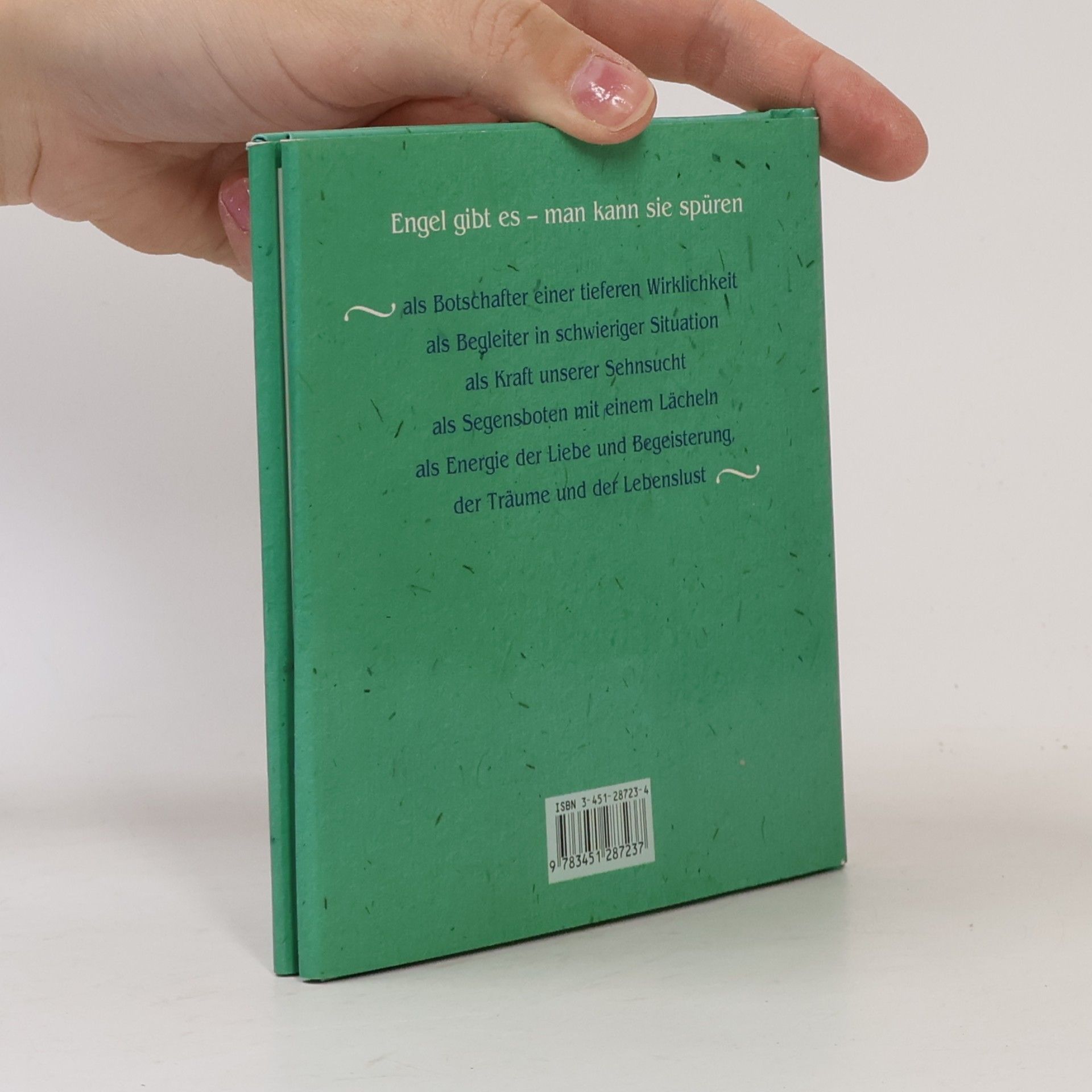 Anselm Grün Engel des Vertrauens