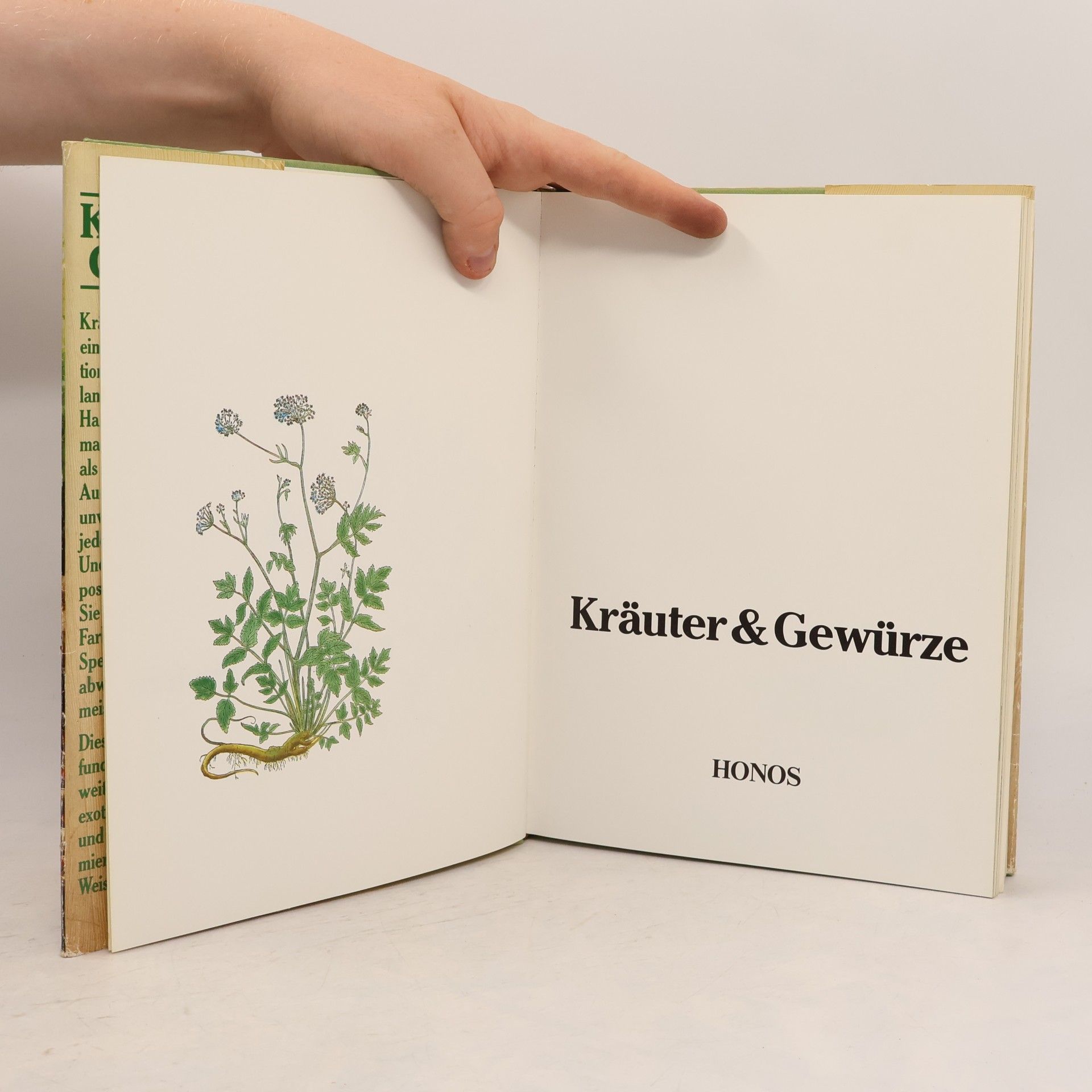 Autorenkollektiv Kräuter & Gawürze
