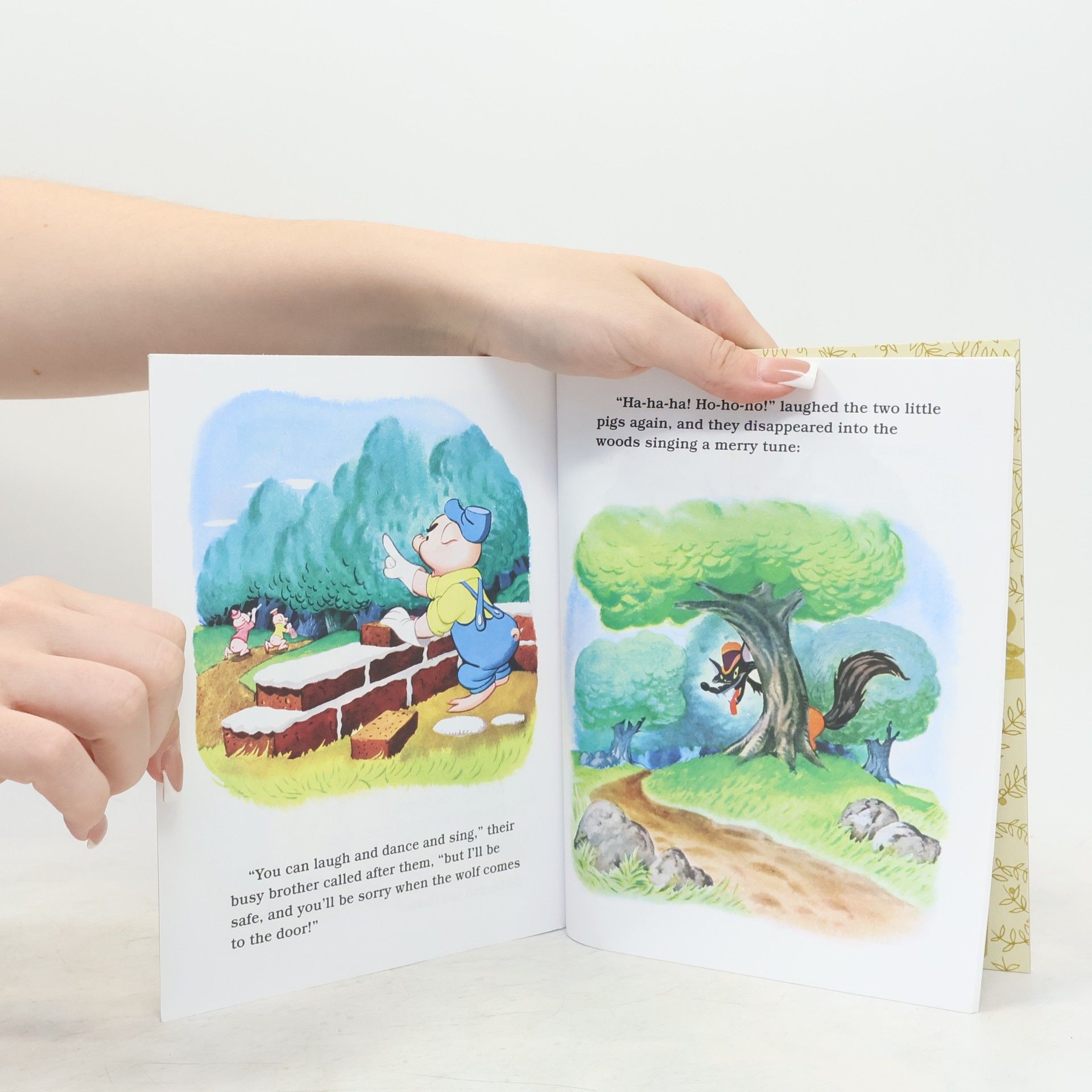 Autorenkollektiv The Three Little Pigs (D