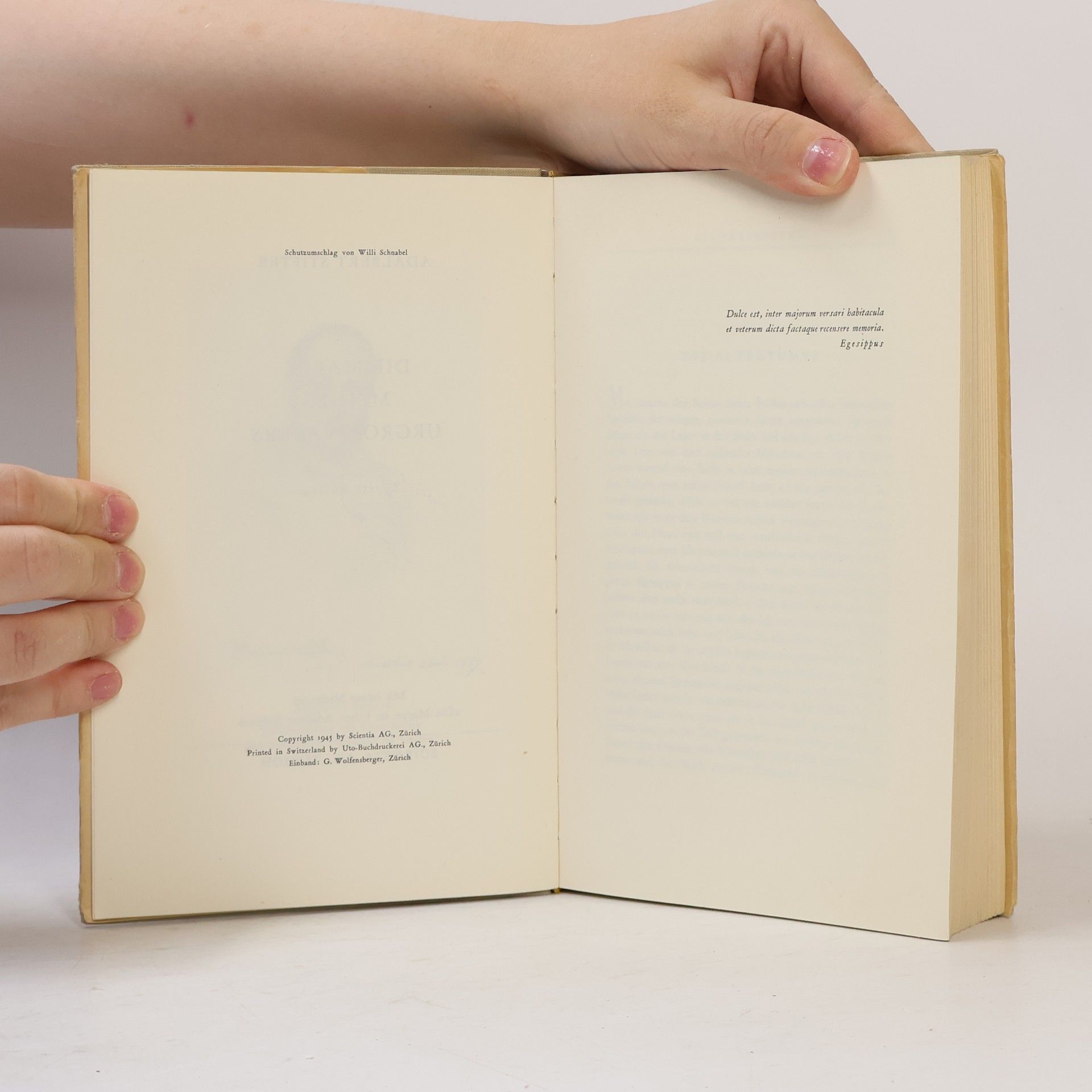 Adalbert Stifter Die mappe meines Urgrossvater