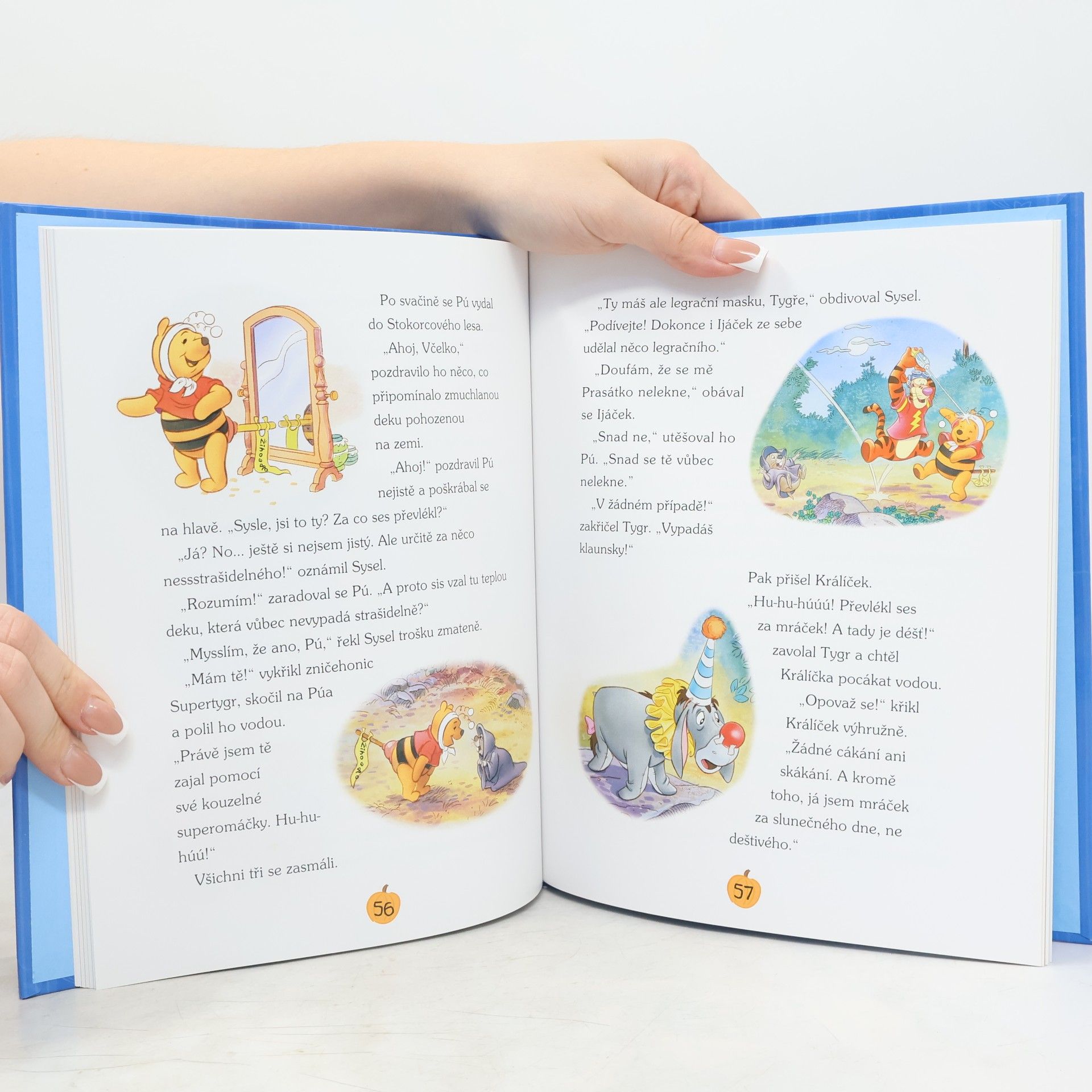 Autorenkollektiv Medvídek Pú. Pokladnice nevšedních dnů