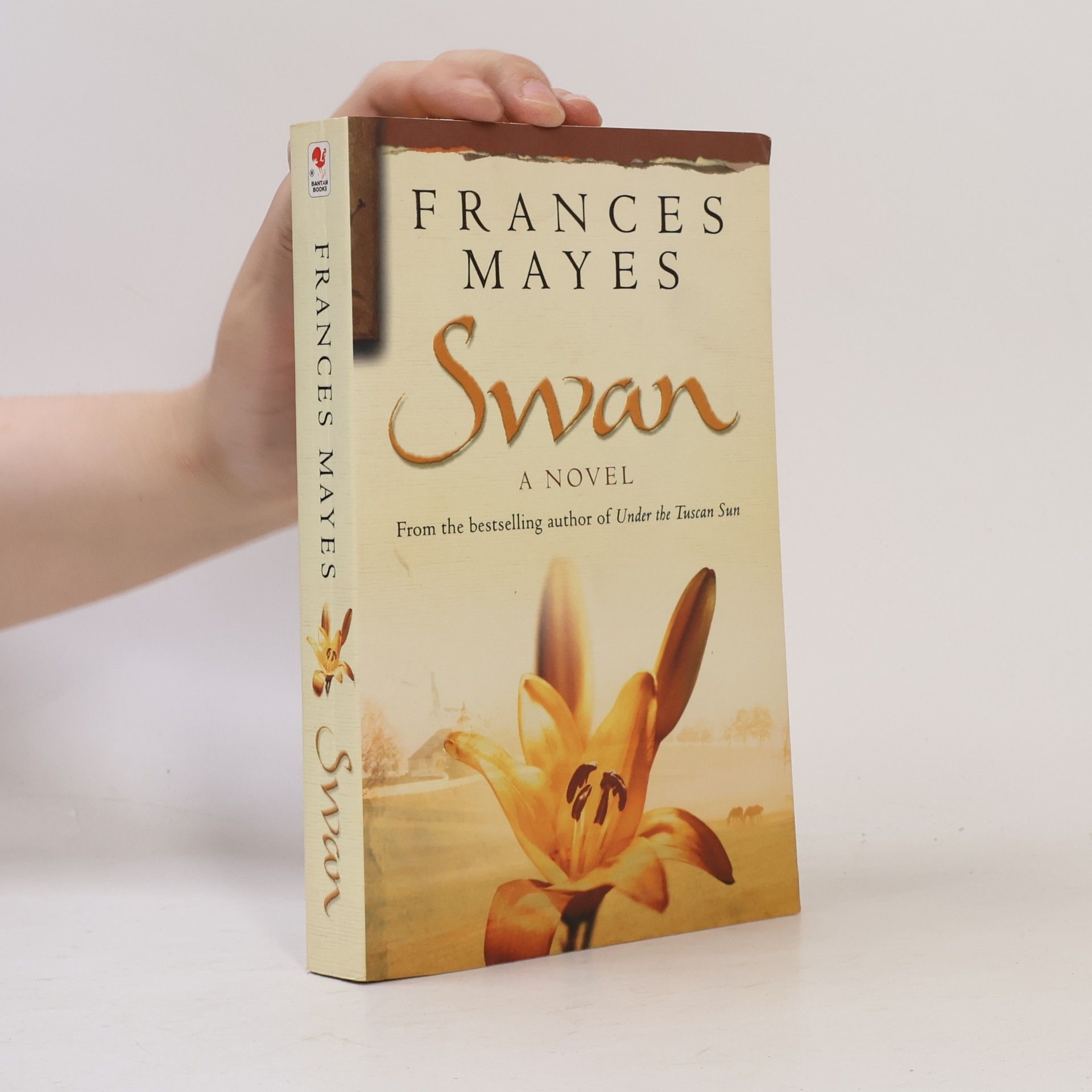Frances Mayes Swan