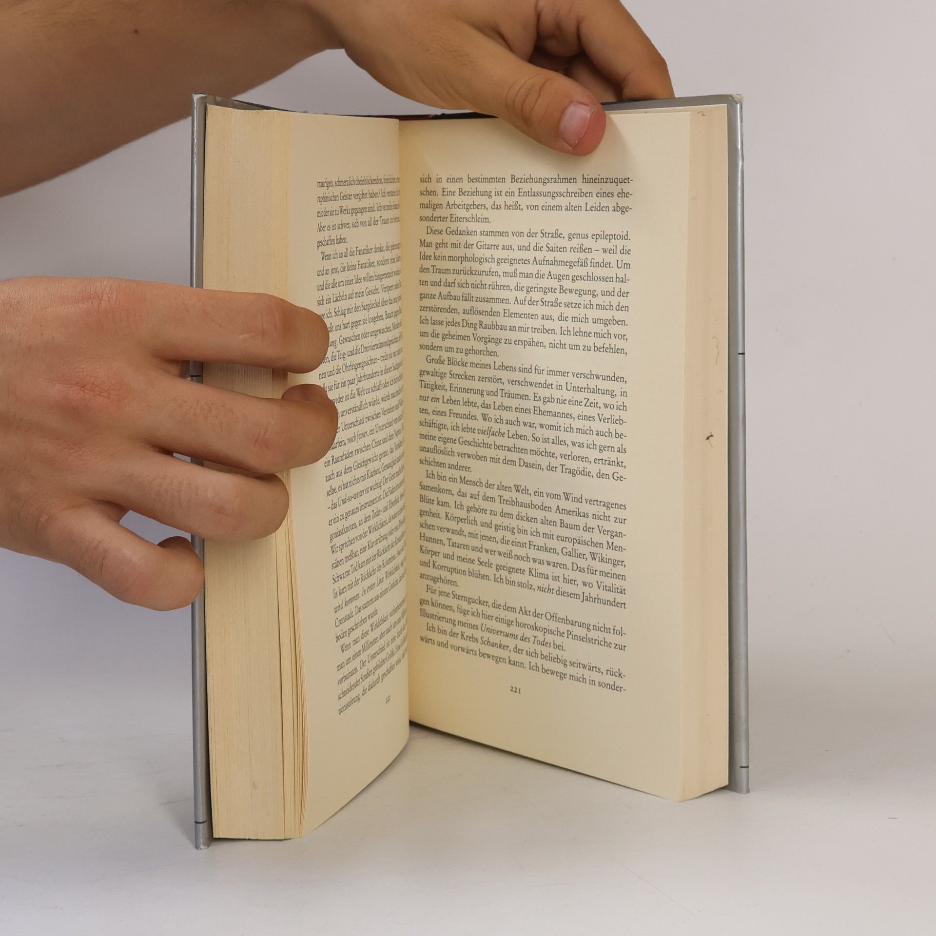 Autorenkollektiv Grosse Erzähler des 20. Jahrhunderts