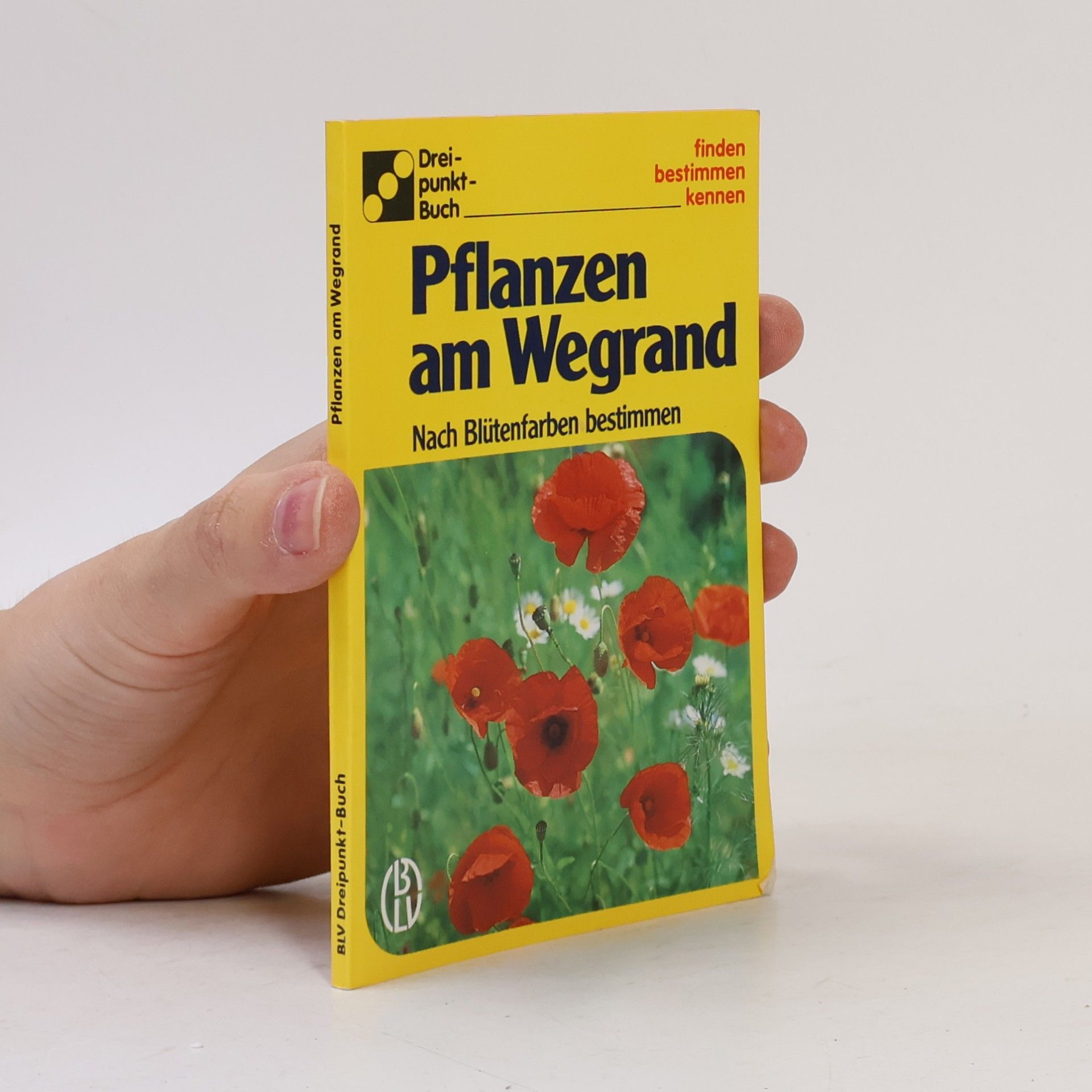 Kolektiv autorů Pflanzen am Wegrand
