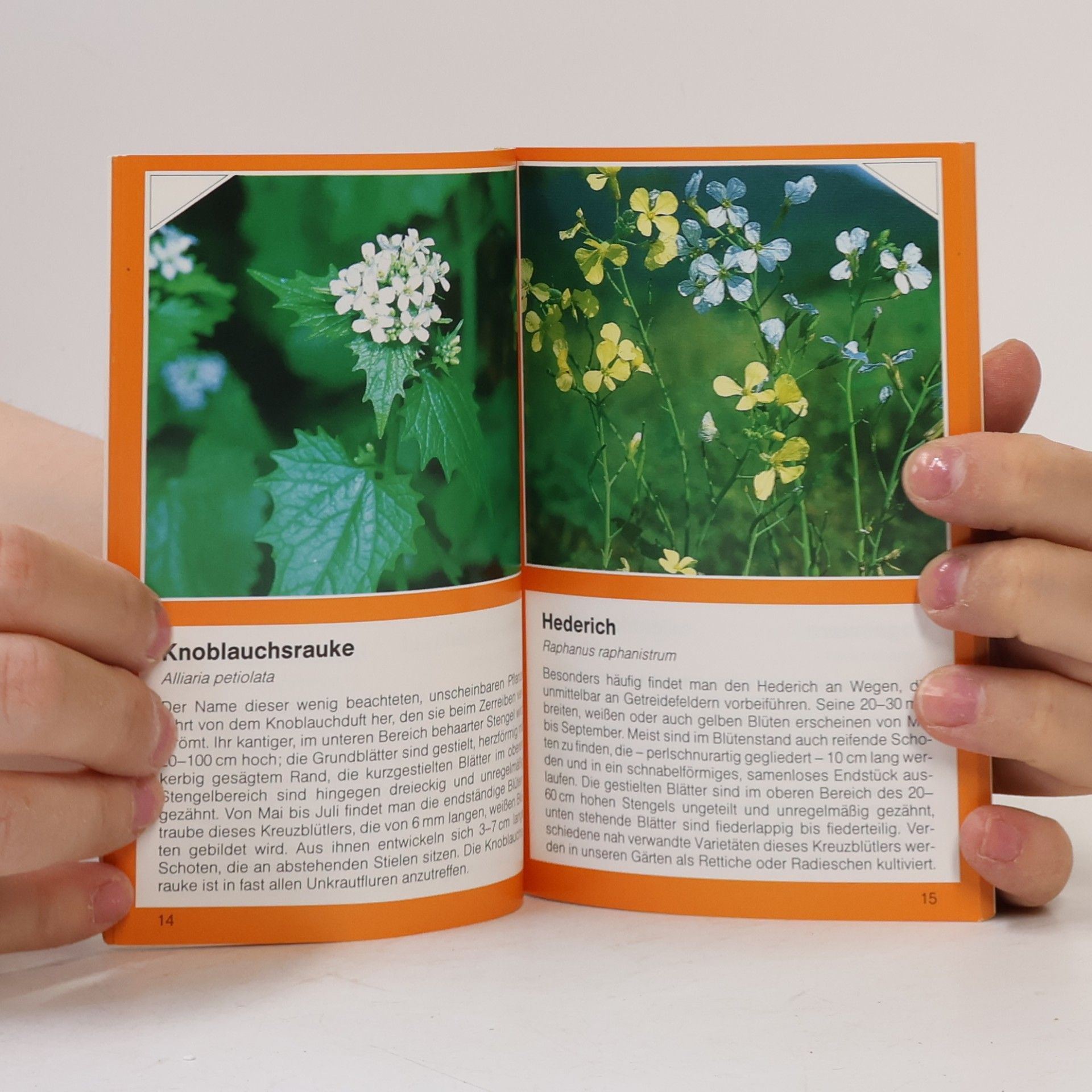 Kolektiv autorů Pflanzen am Wegrand