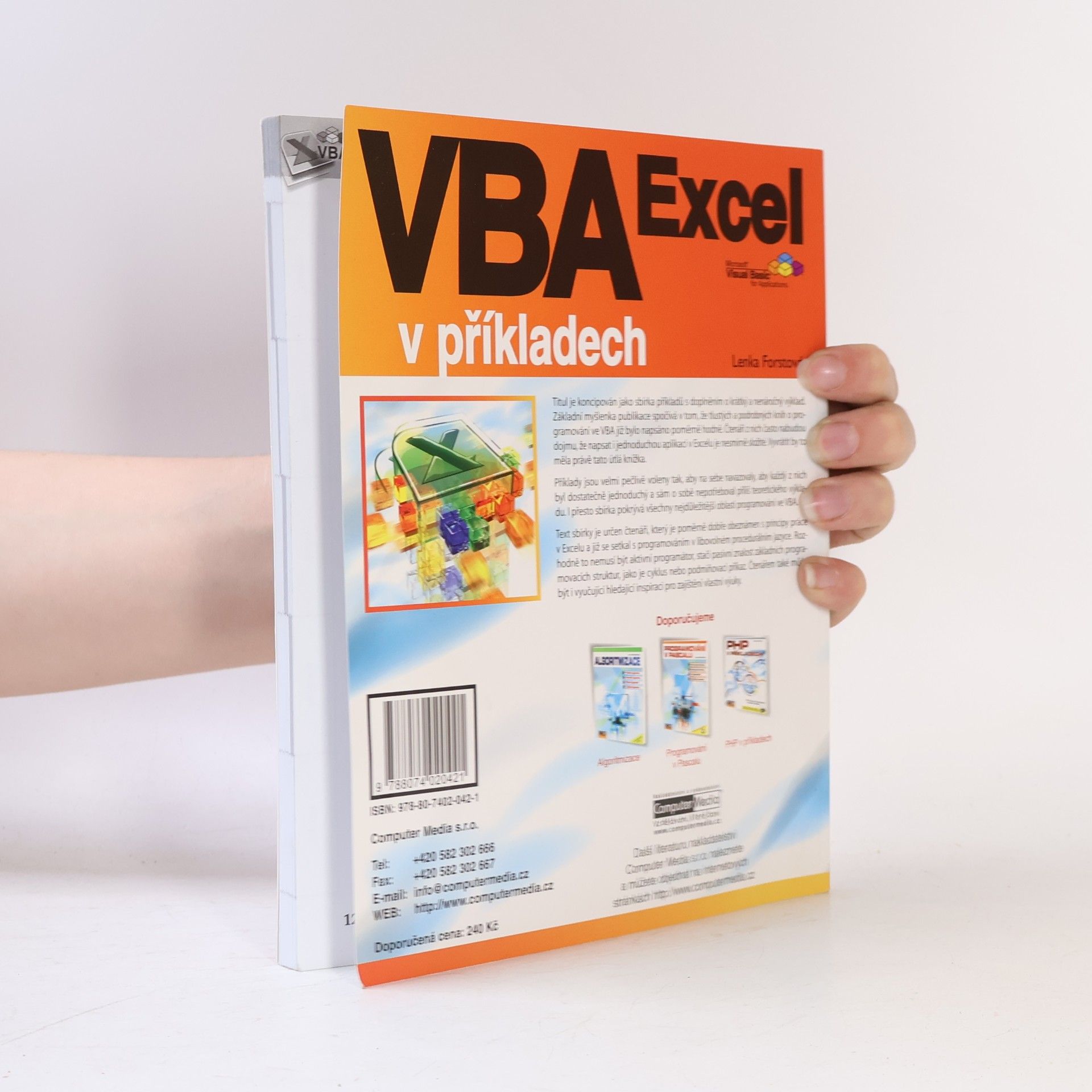Lenka Forstová VBA Excel v příkladech