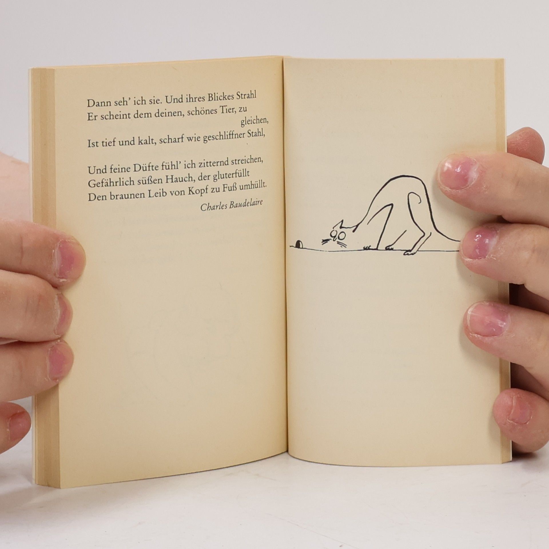 Tomi Ungerer Die schönsten Katzengedichte