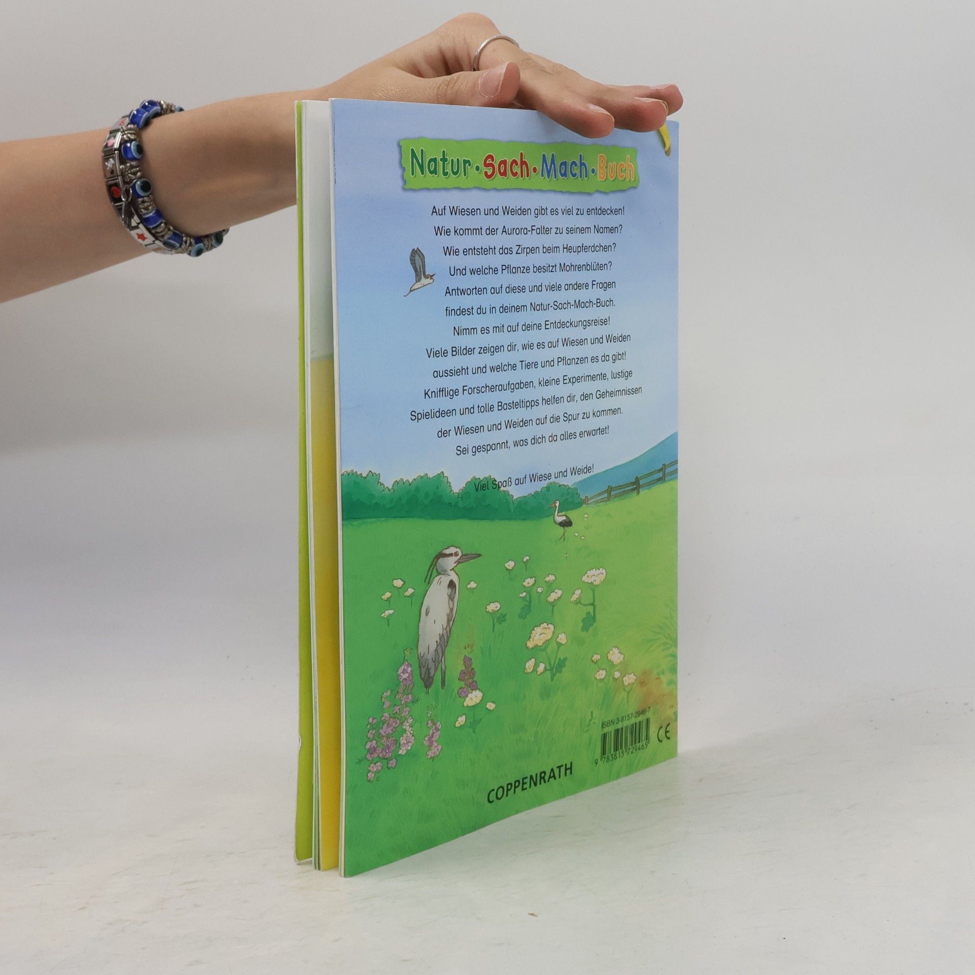 Barbara Wernsing Bottmeyer Natur Sach Mach Buch: Komm, entdecke Wiese und Weide!
