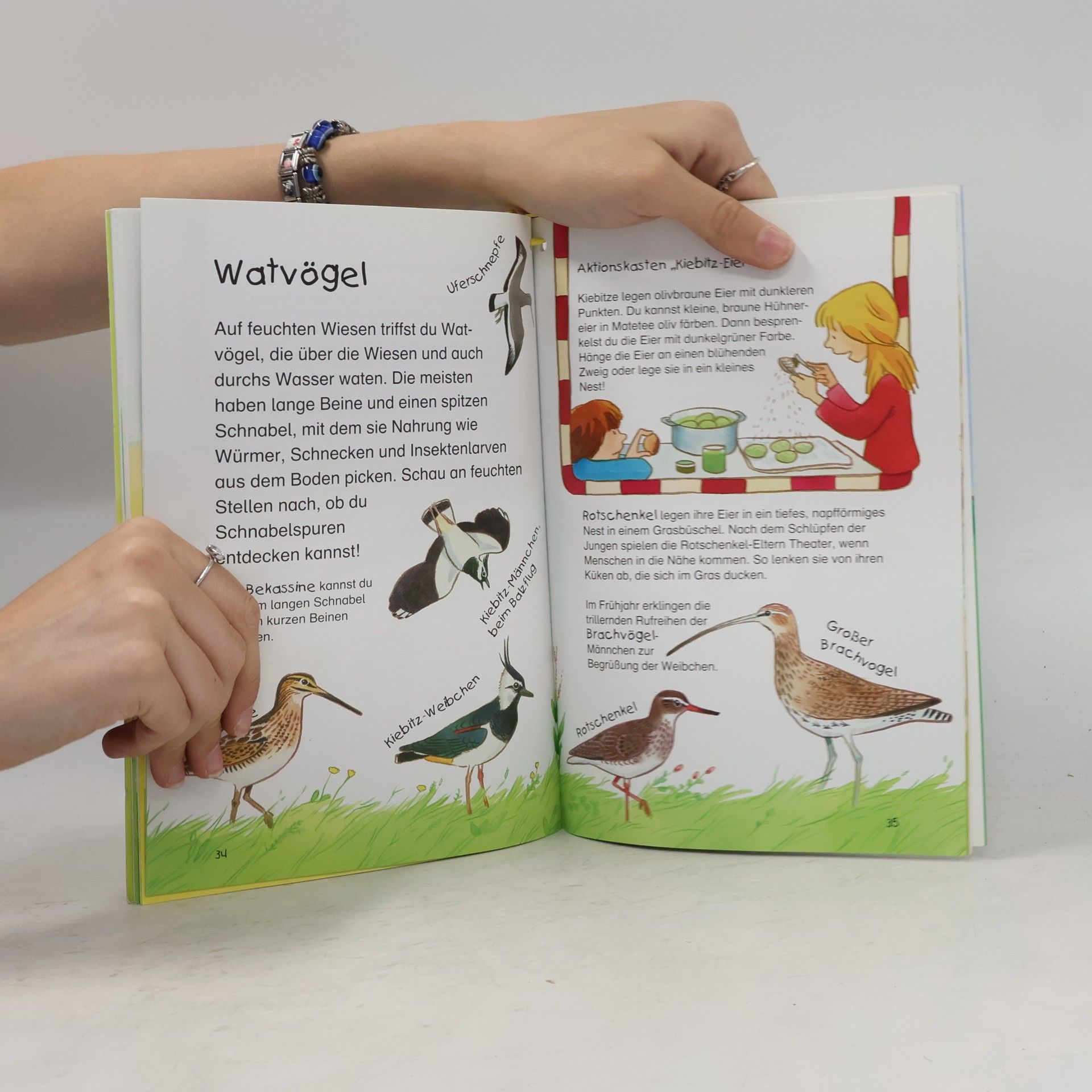 Barbara Wernsing Bottmeyer Natur Sach Mach Buch: Komm, entdecke Wiese und Weide!