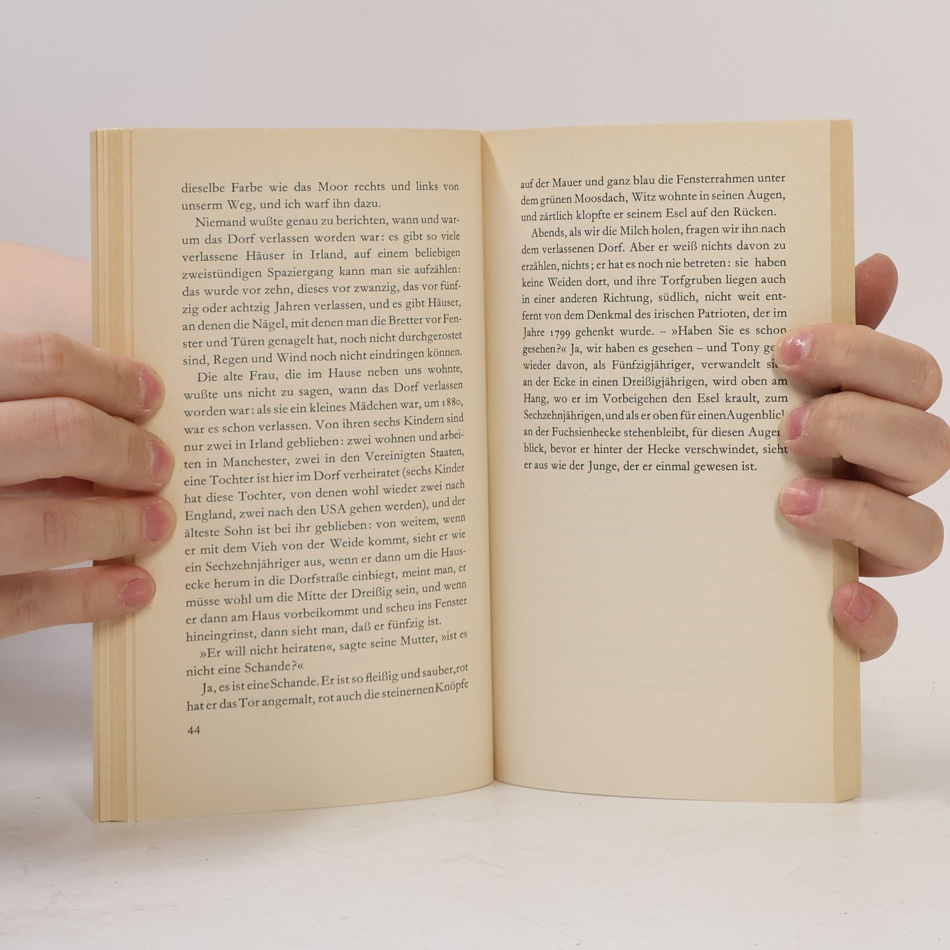 Heinrich Böll Irisches Tagebuch