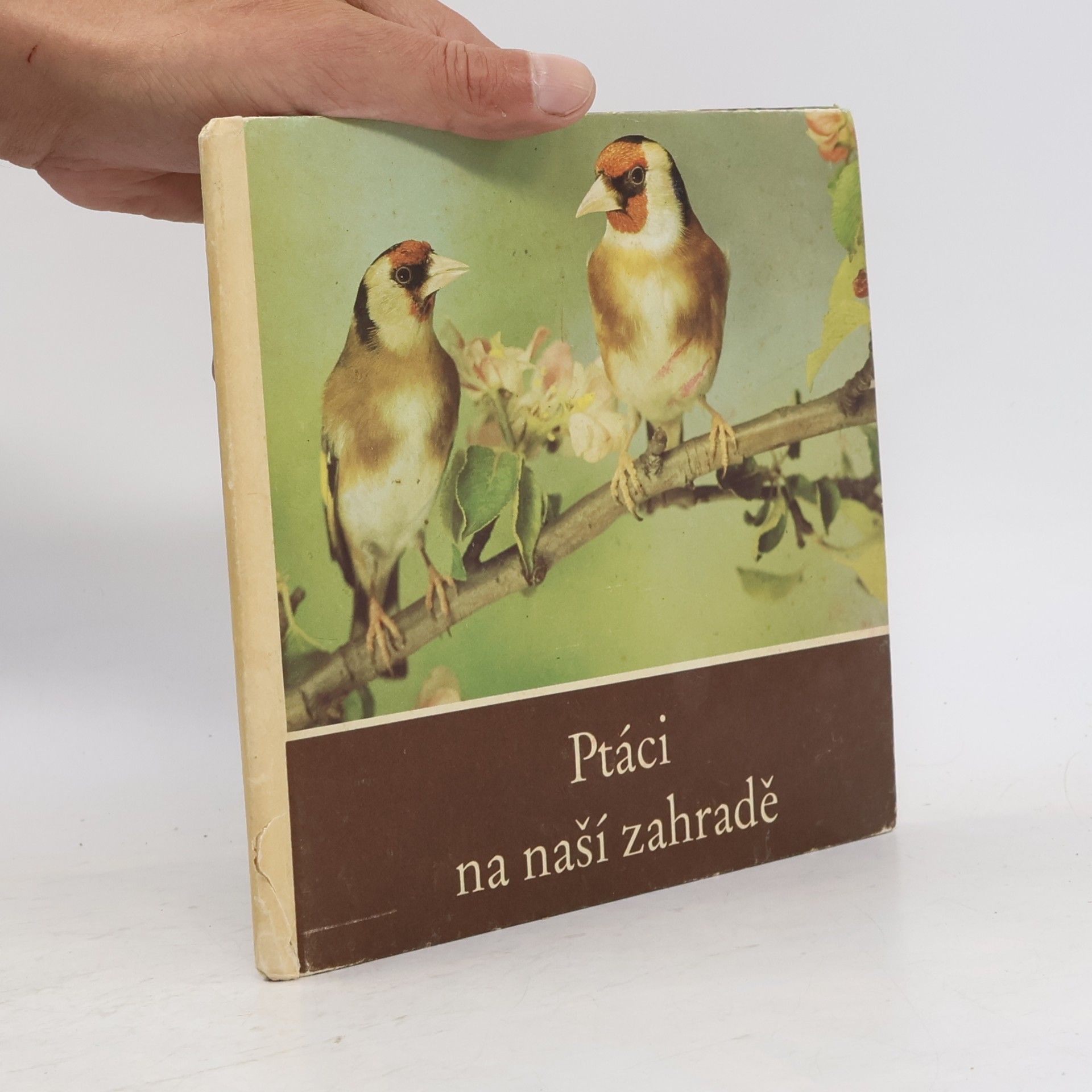 Helmut Massny Ptáci na naší zahradě