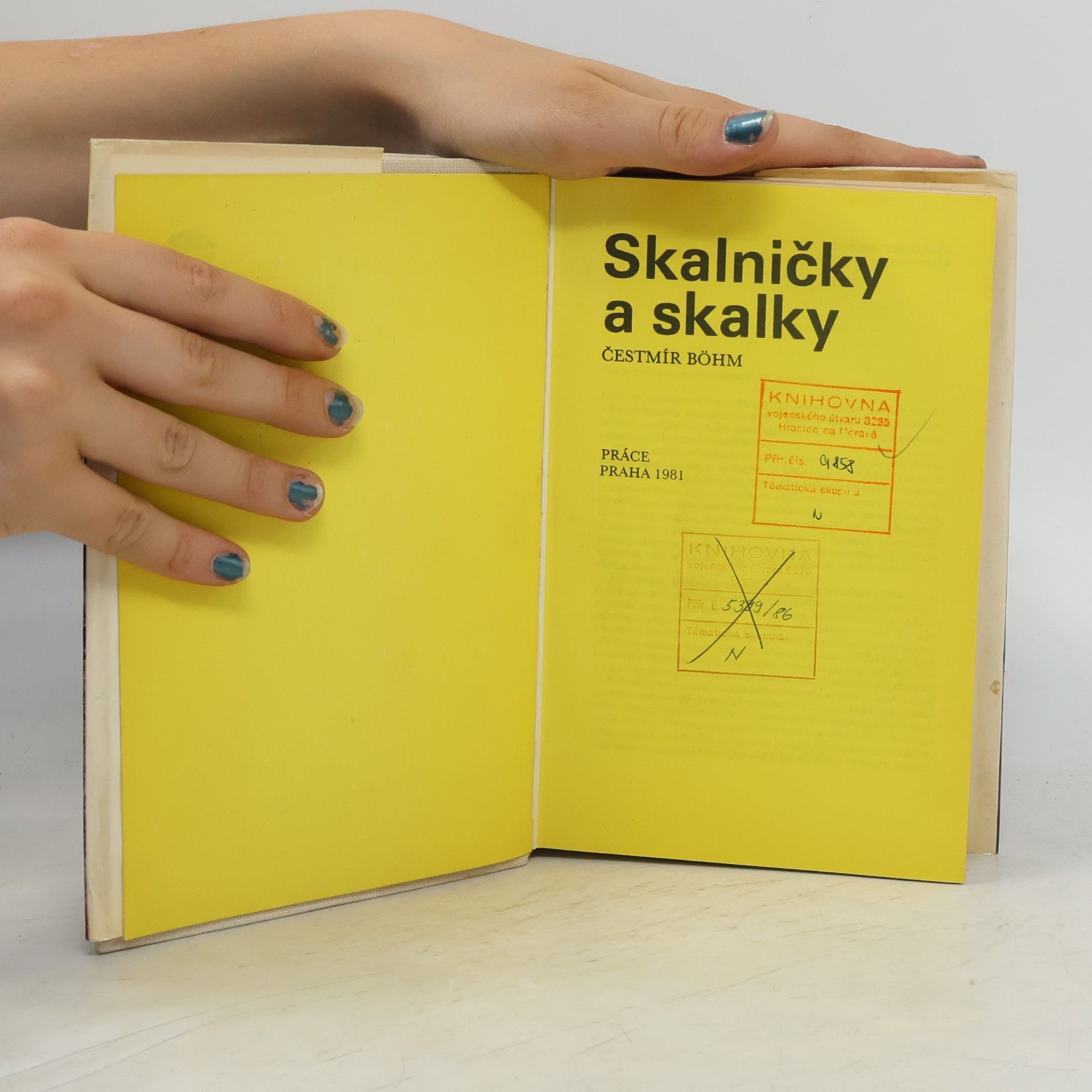 Čestmír Böhm Skalničky a skalky