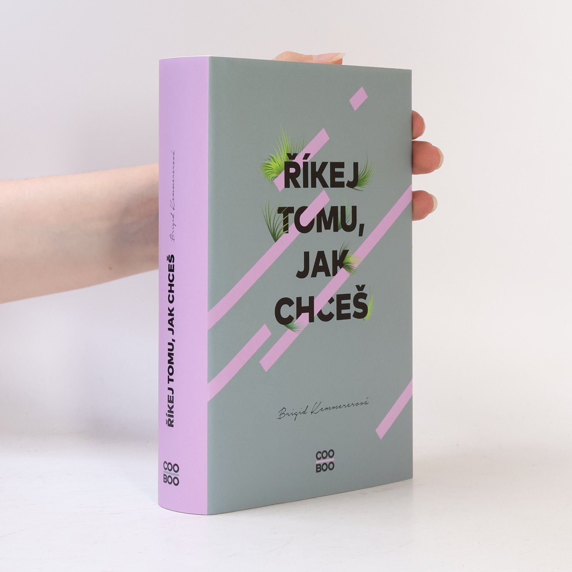 Brigid Kemmerer Říkej tomu, jak chceš