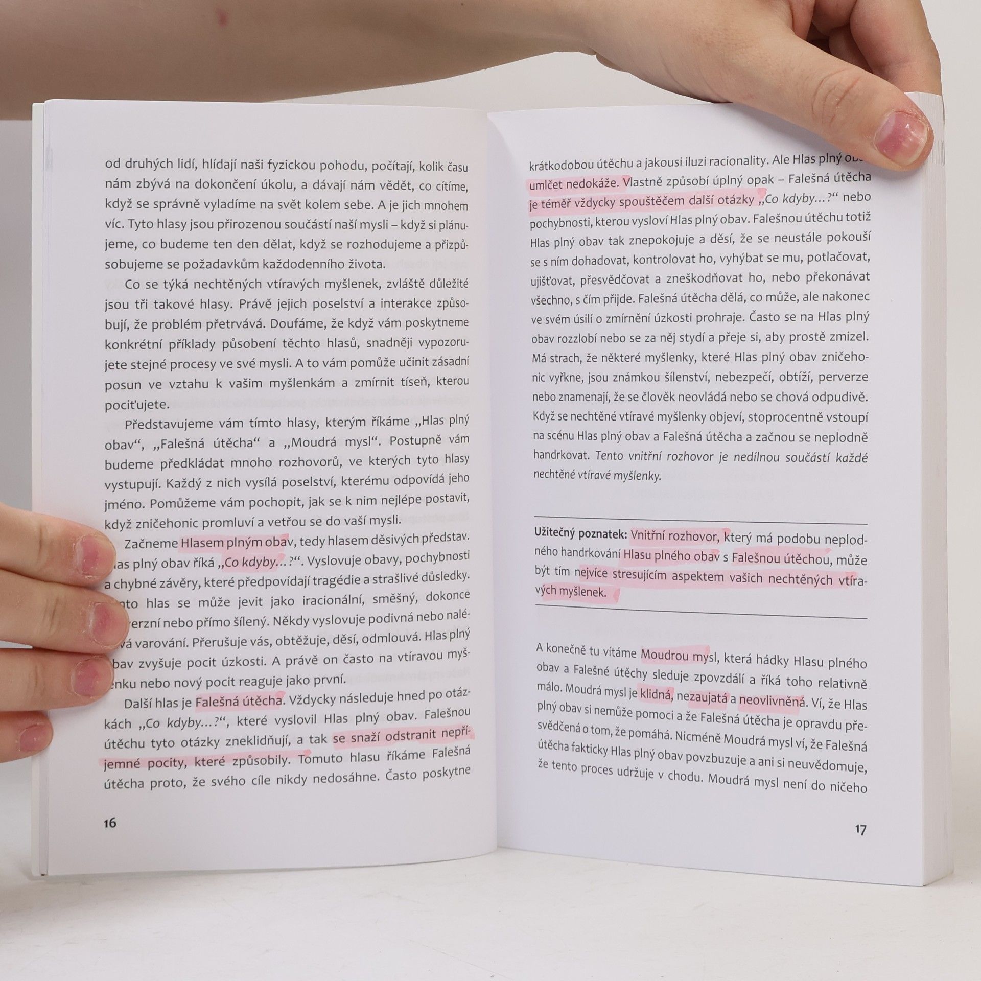 Sally Winston Brouci v hlavě. Jak se zbavit vtíravých myšlenek