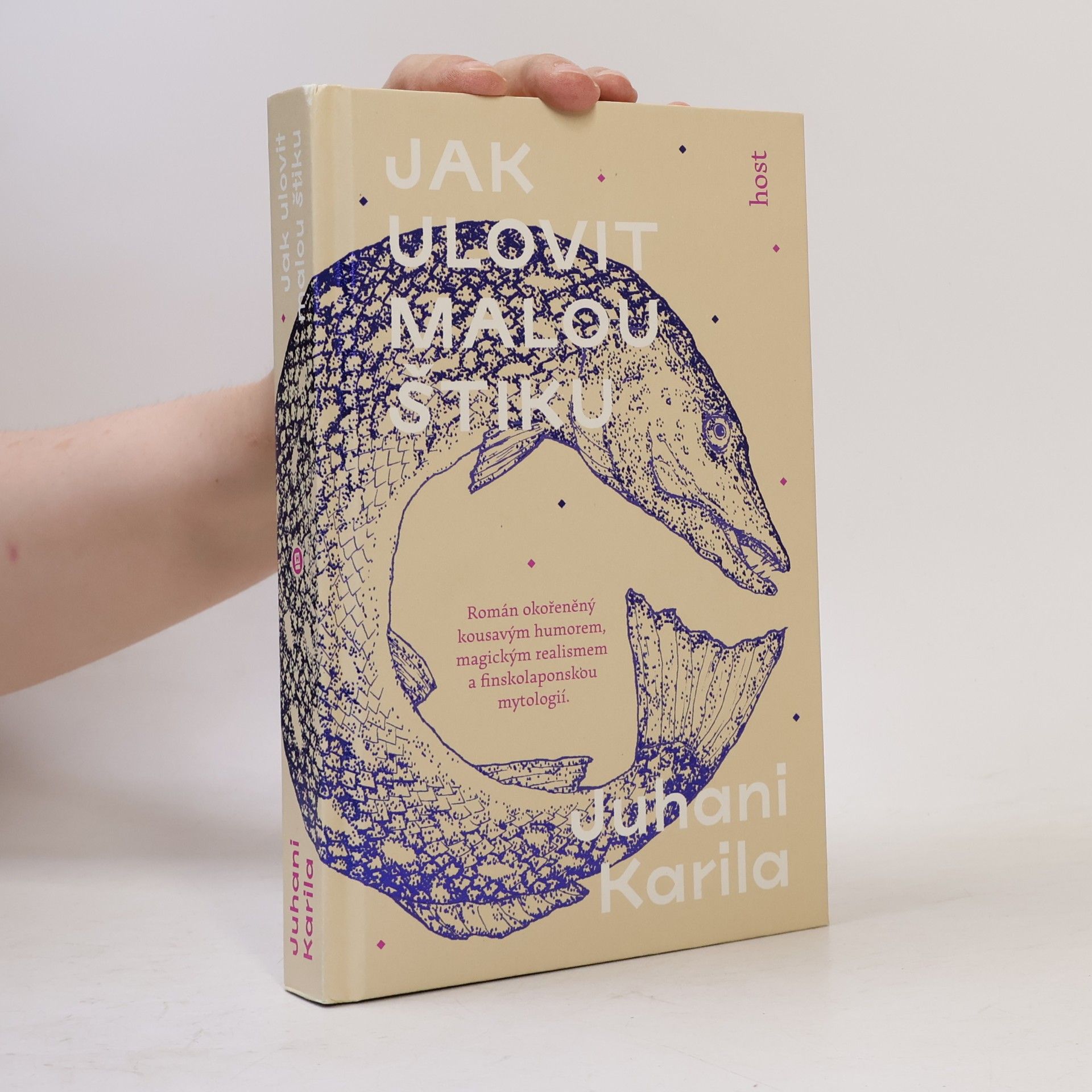 Juhani Karila Jak ulovit malou štiku