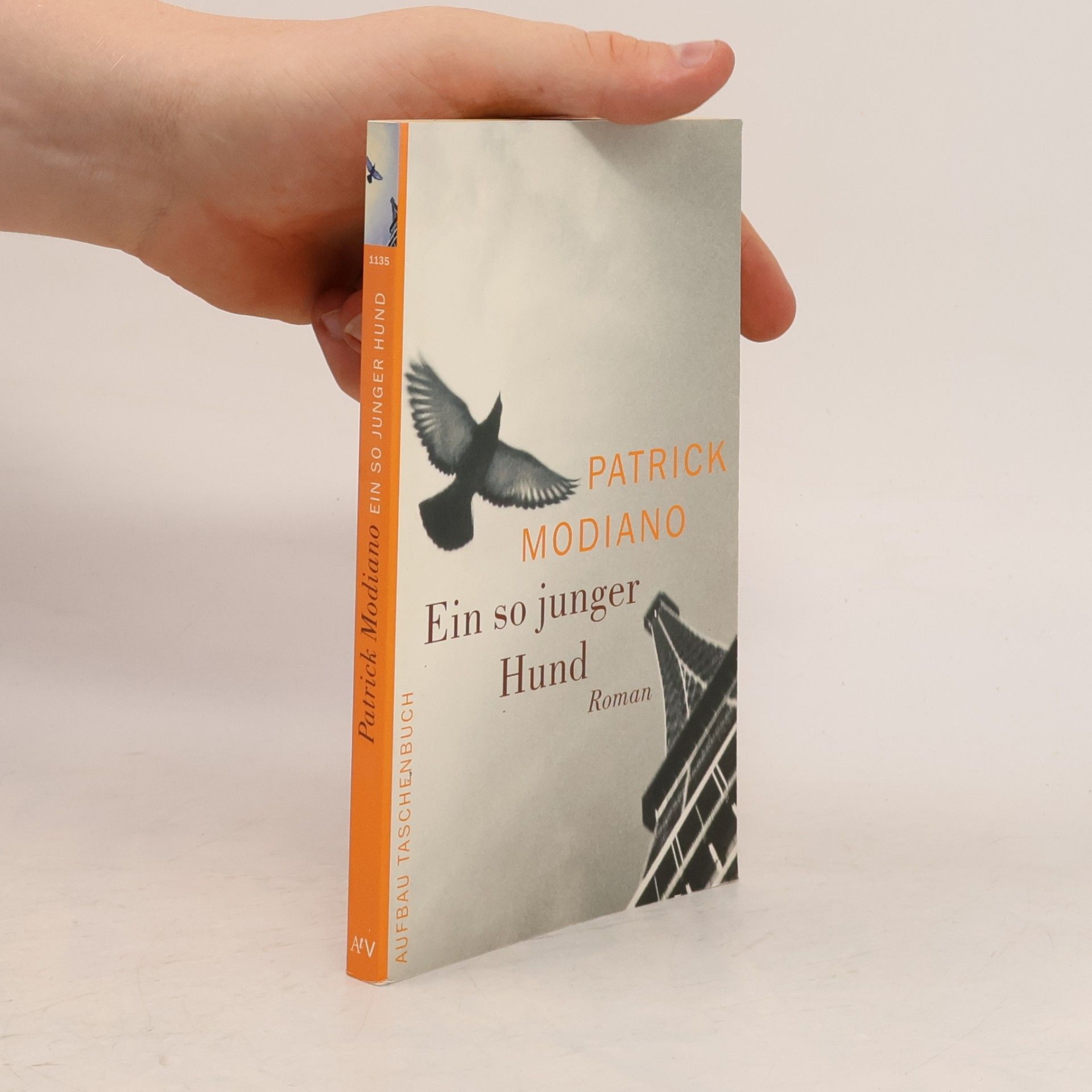 Patrick Modiano Ein so junger Hund