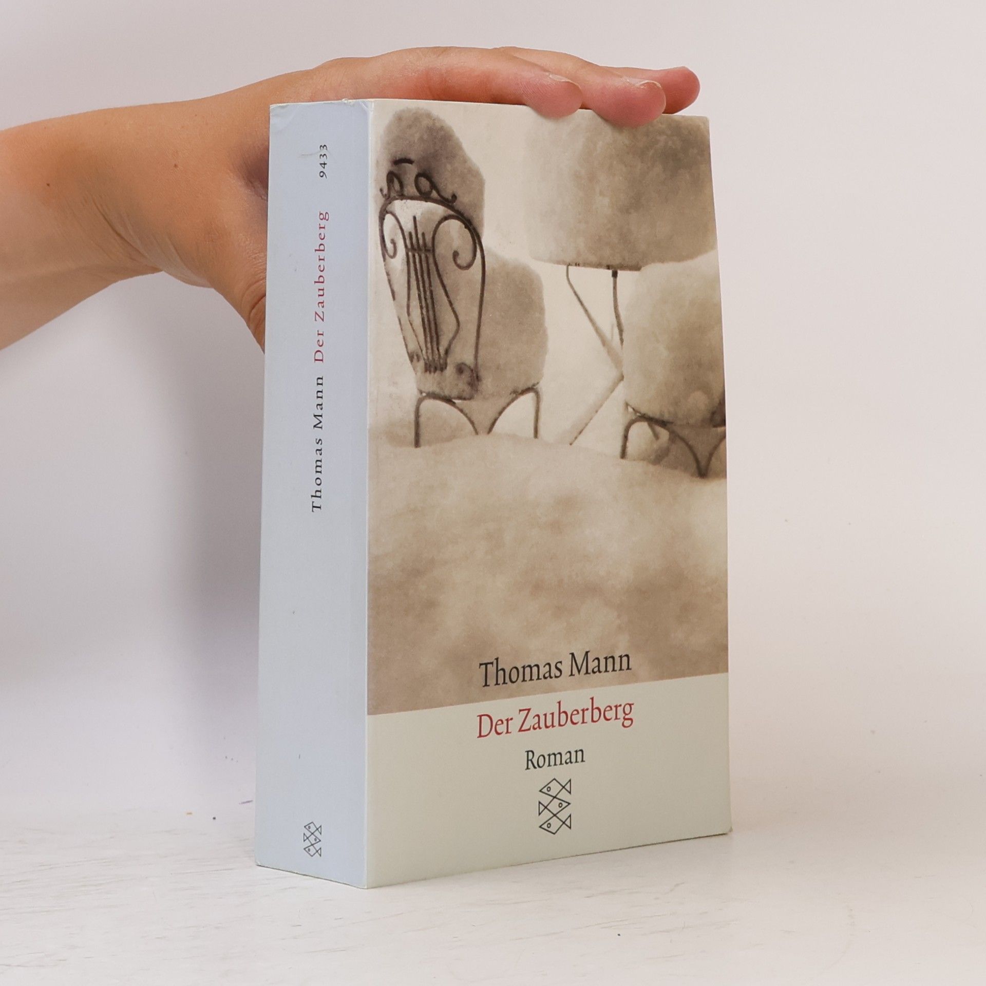 Thomas Mann Der Zauberberg